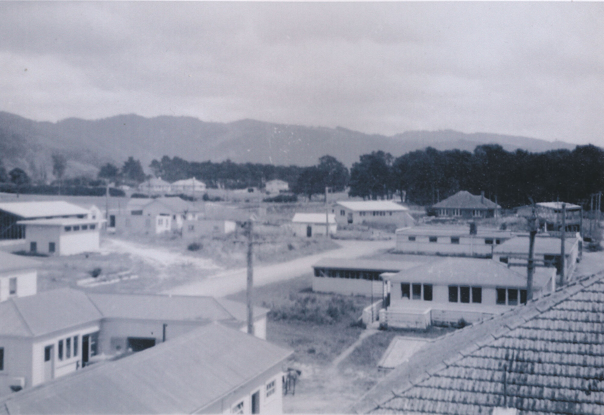 Wallaceville Research Centre buildings; view from the roof, 1959