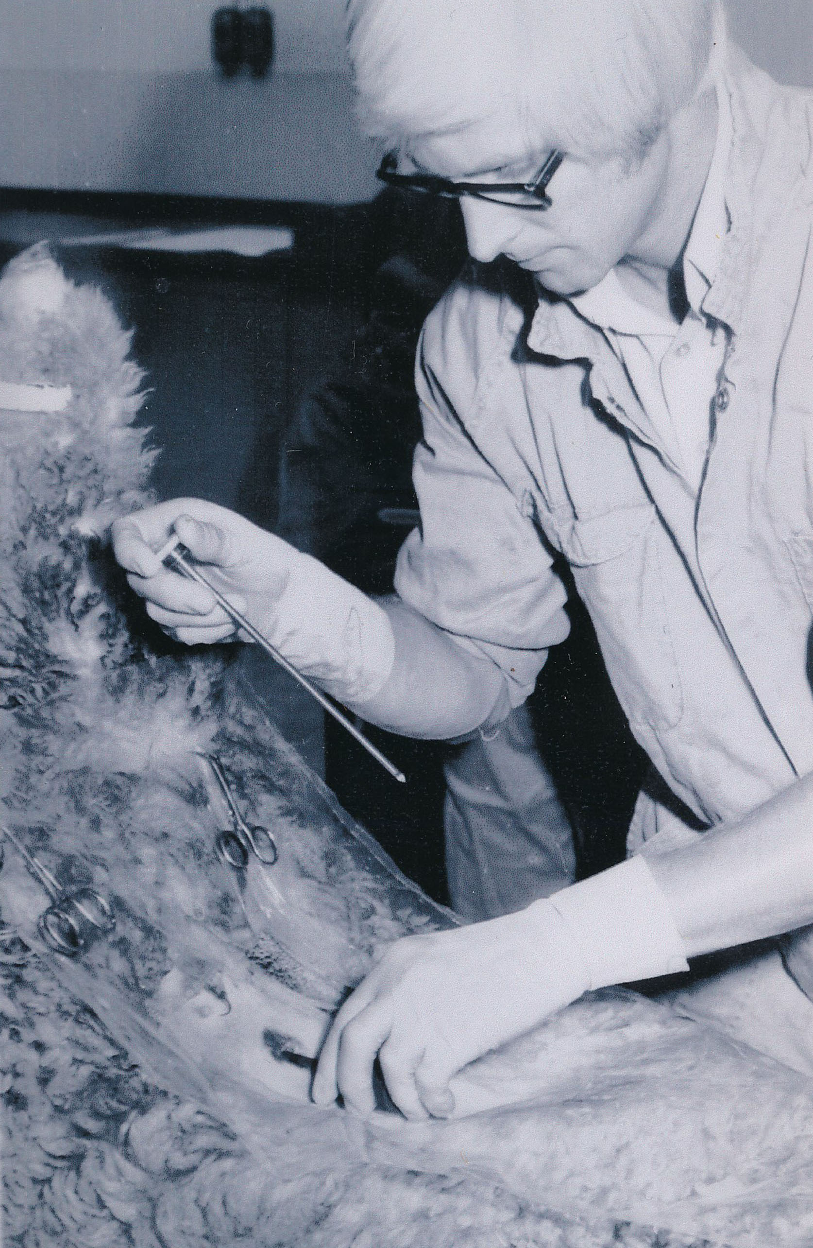 Wallaceville Research Centre staff; Keith McSporran in the Metabolism Unit - date unknown
