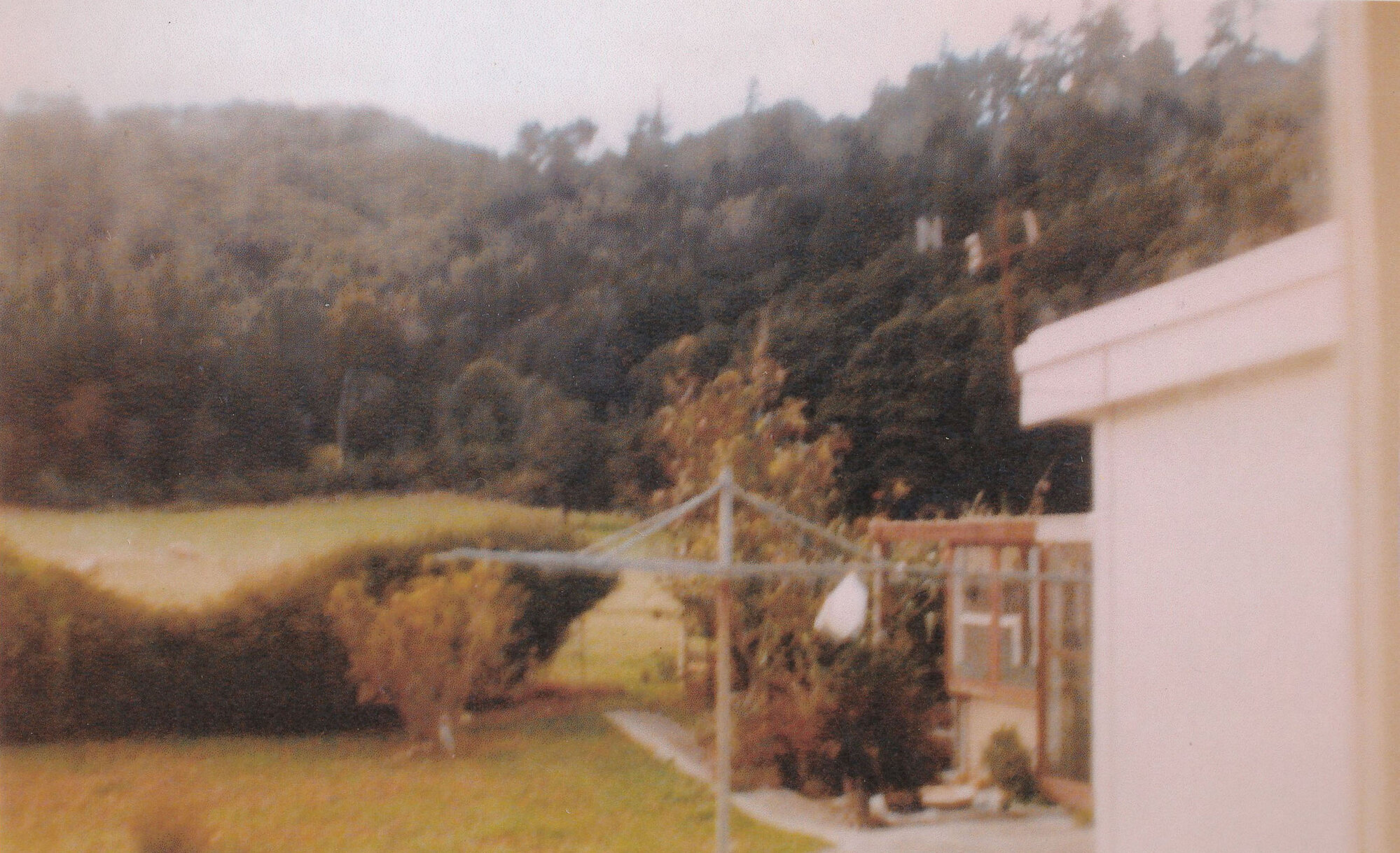 Wallaceville Research Centre; view from farm houses, pre-Alexander Road - 1980s