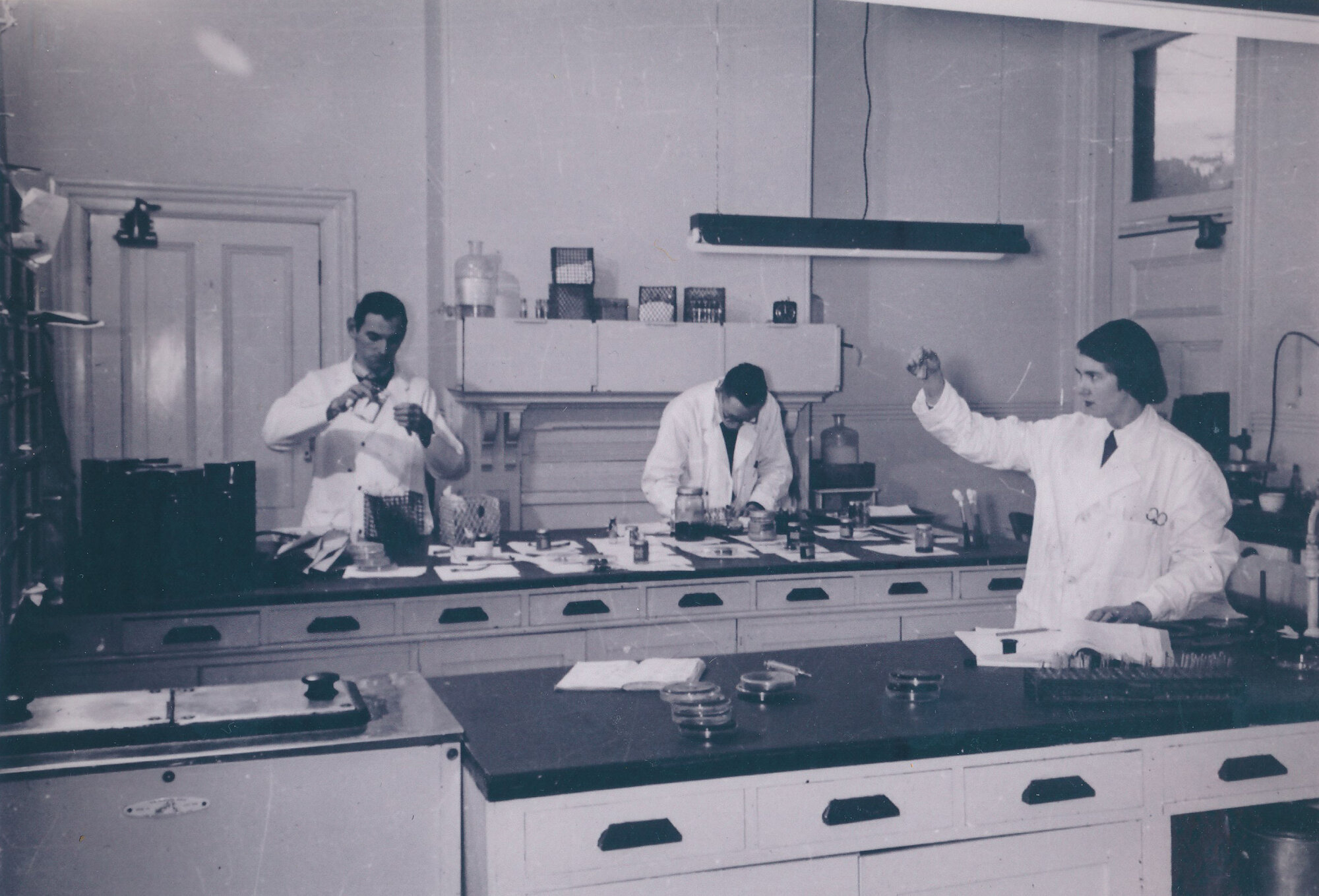 Wallaceville Research Centre interiors; main laboratory, 1952