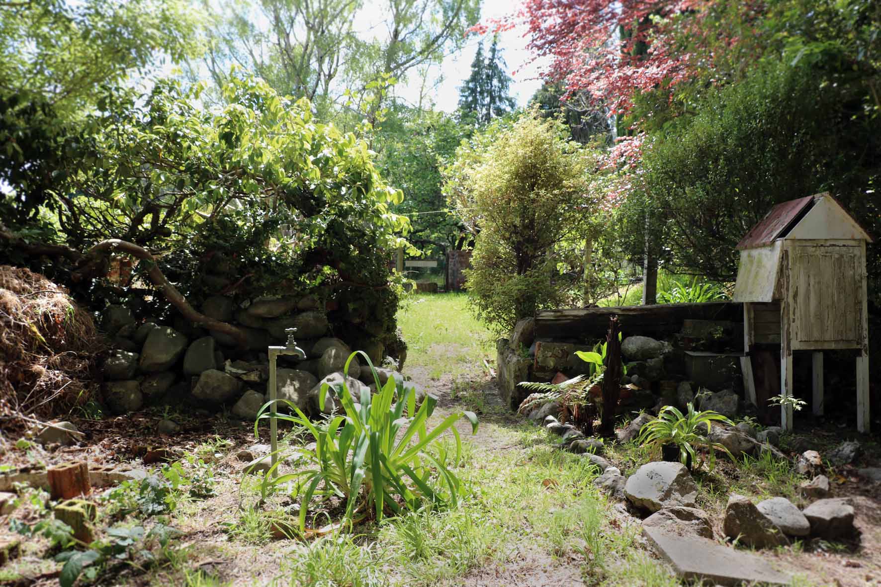 Birch Hill 2017; remains of fernery