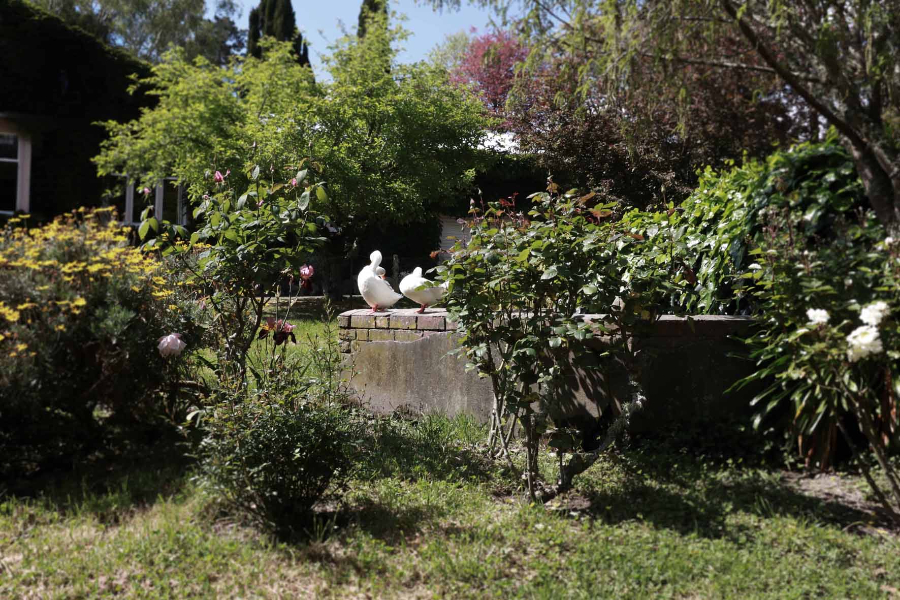 Birch Hill 2017; fountain with ducks