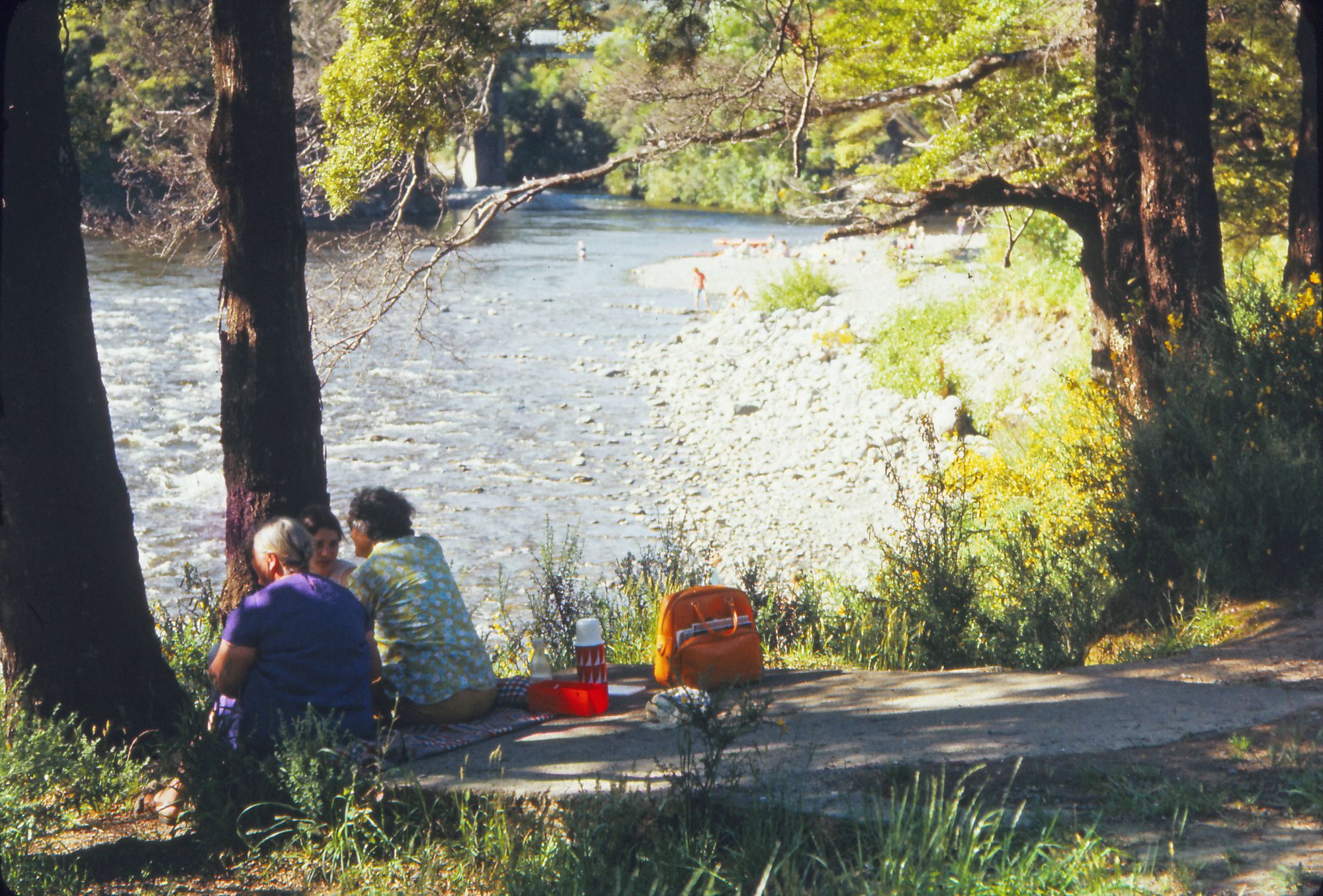 Te Awa Kairangi / Hutt River at Birchville; Circa 1969
