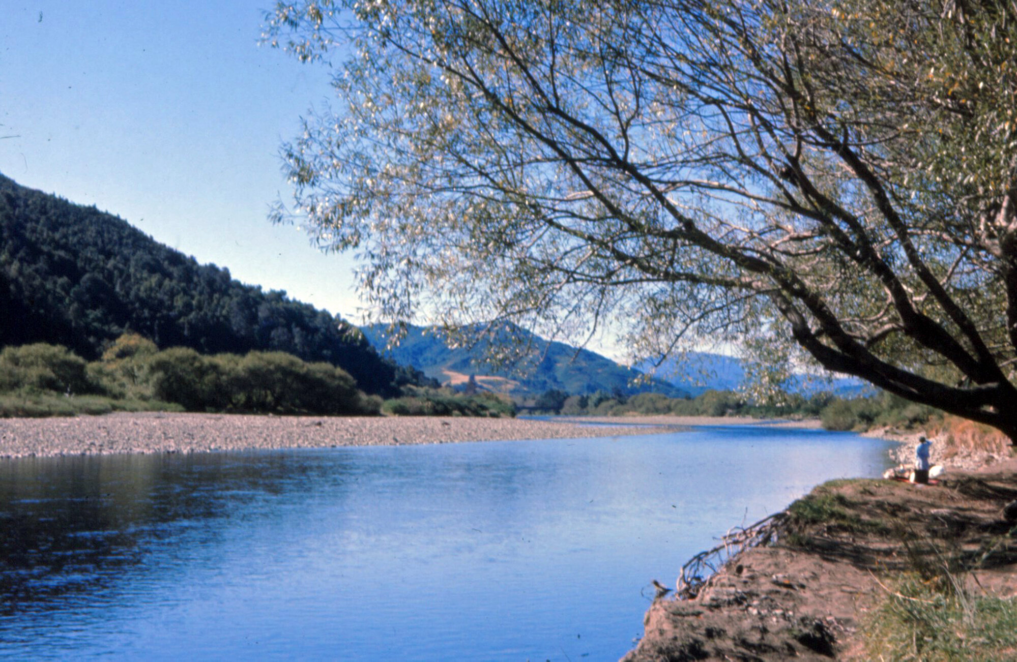 Te Awa Kairangi / Hutt River at Barton's Bush; 1969