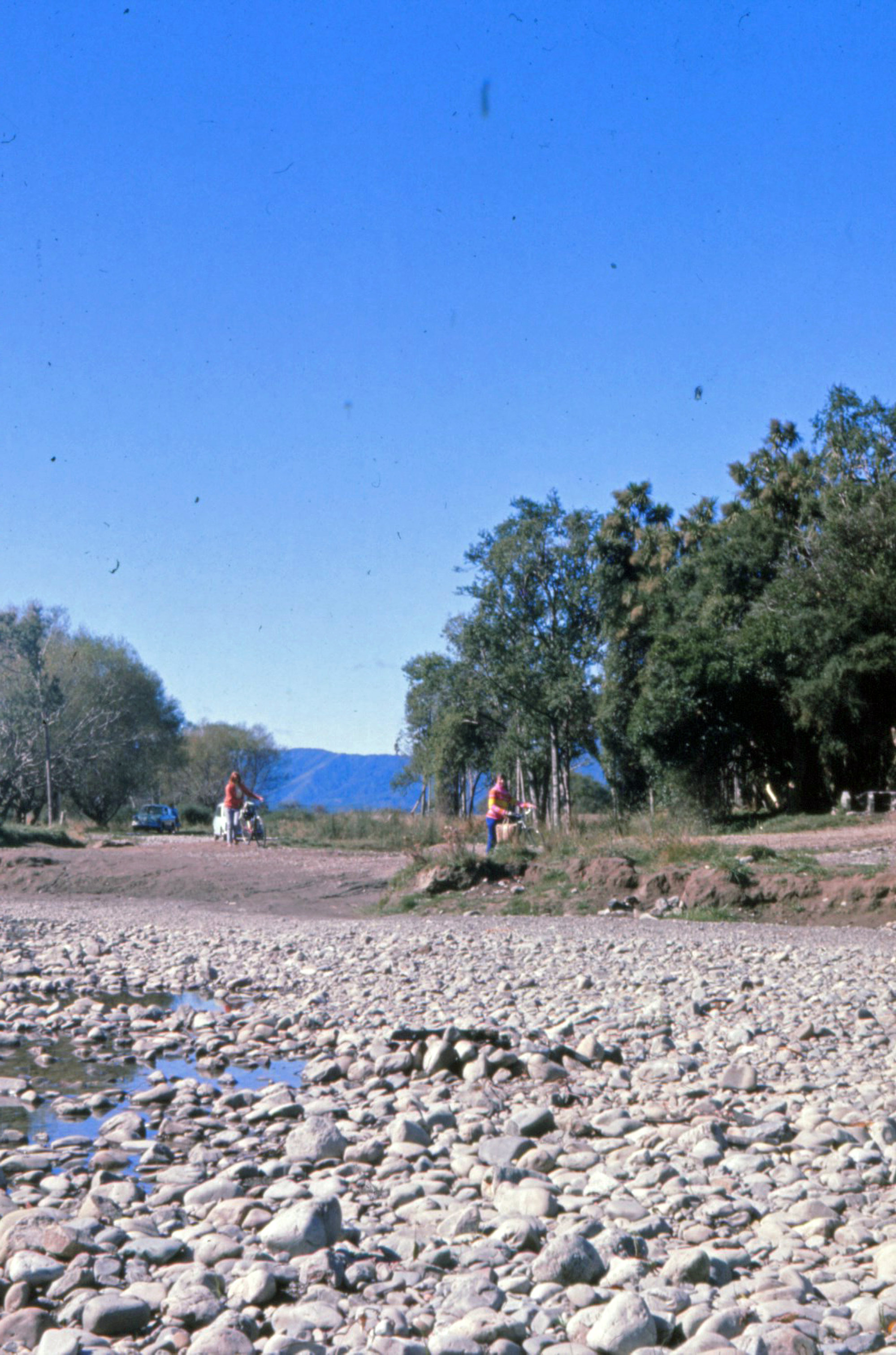 Te Awa Kairangi / Hutt River at Barton's Bush; 1969