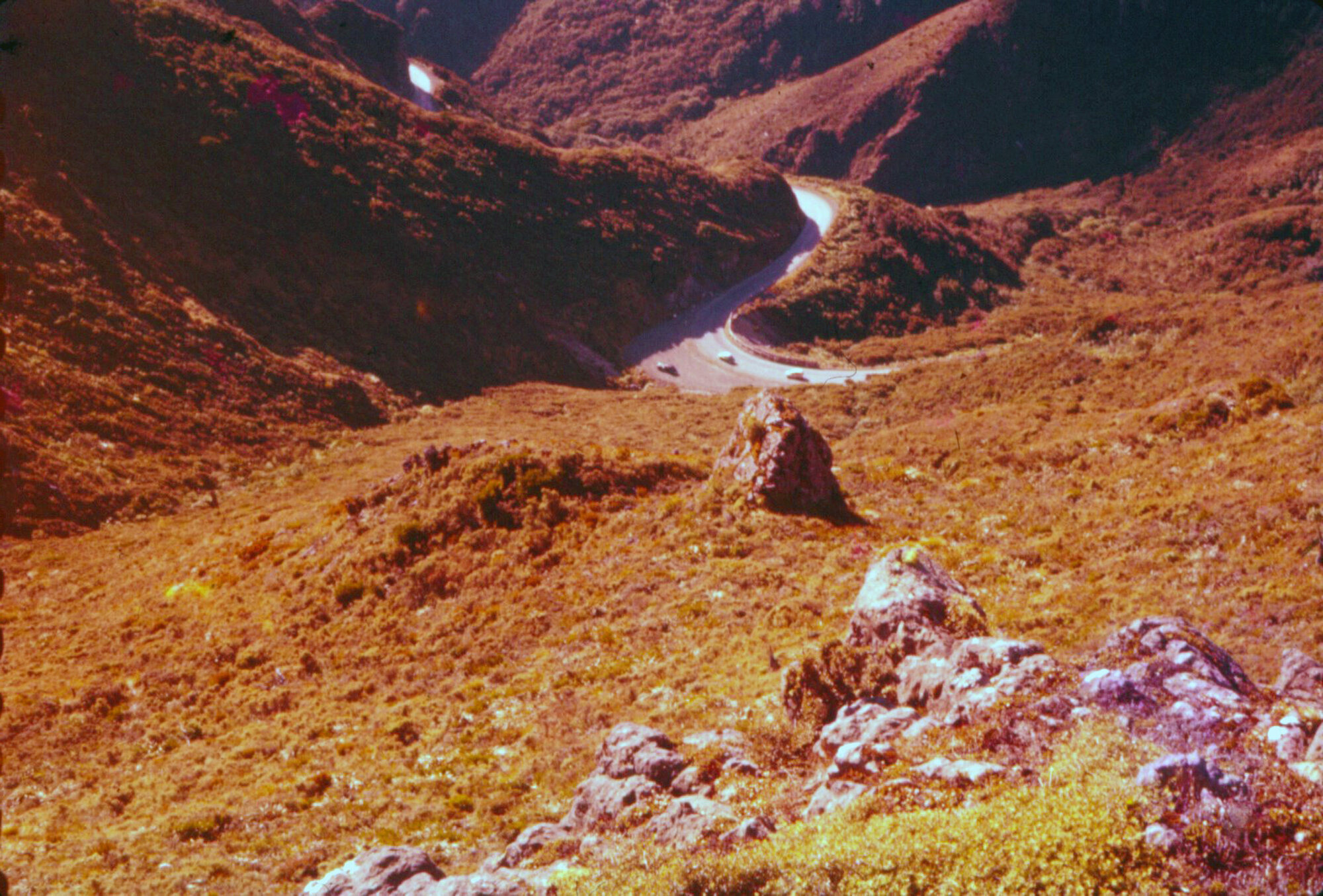 Remutaka Hill, Taken From Summit; 1961