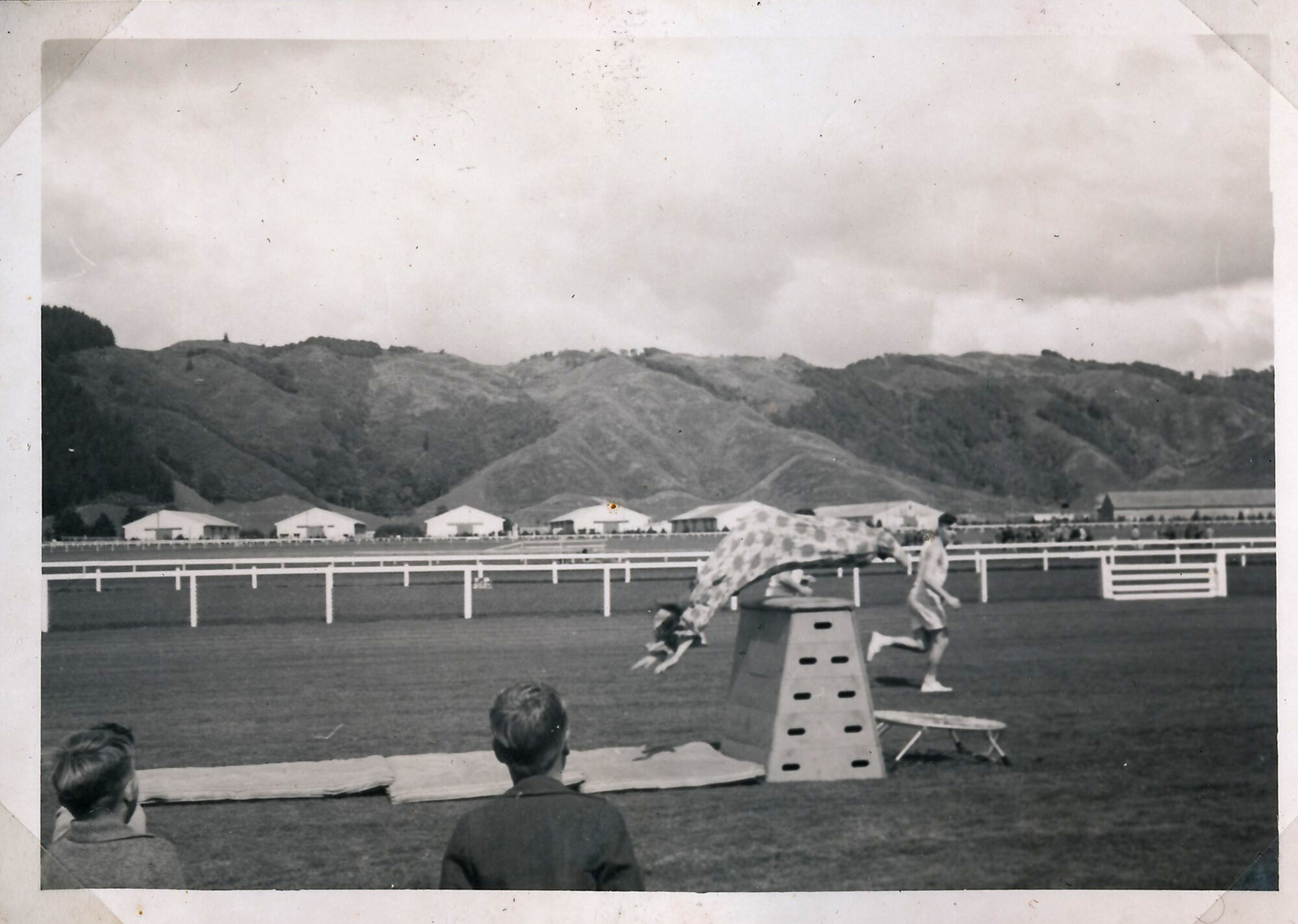 Y.M.C.A Photograph Album; Page 36, Clowns