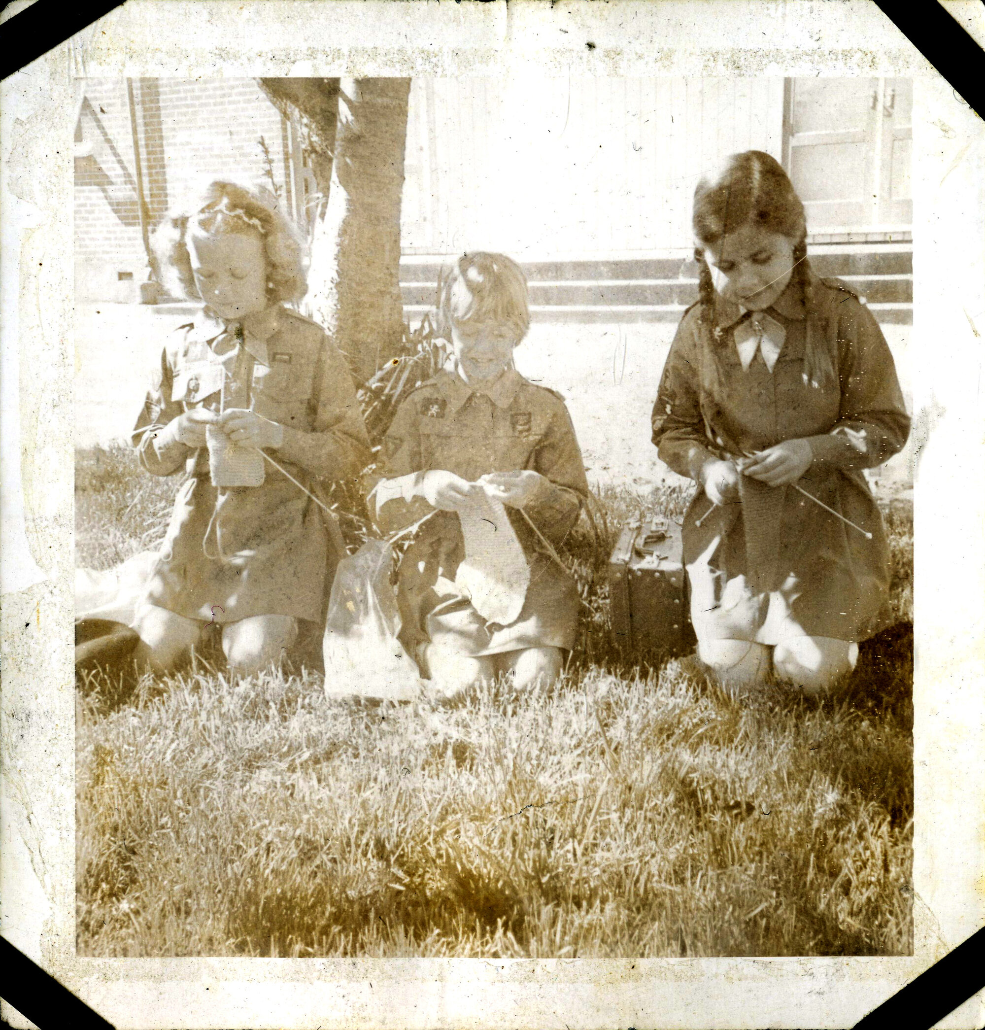 Girl Guides Upper Hutt Division; Knitathon; 1973