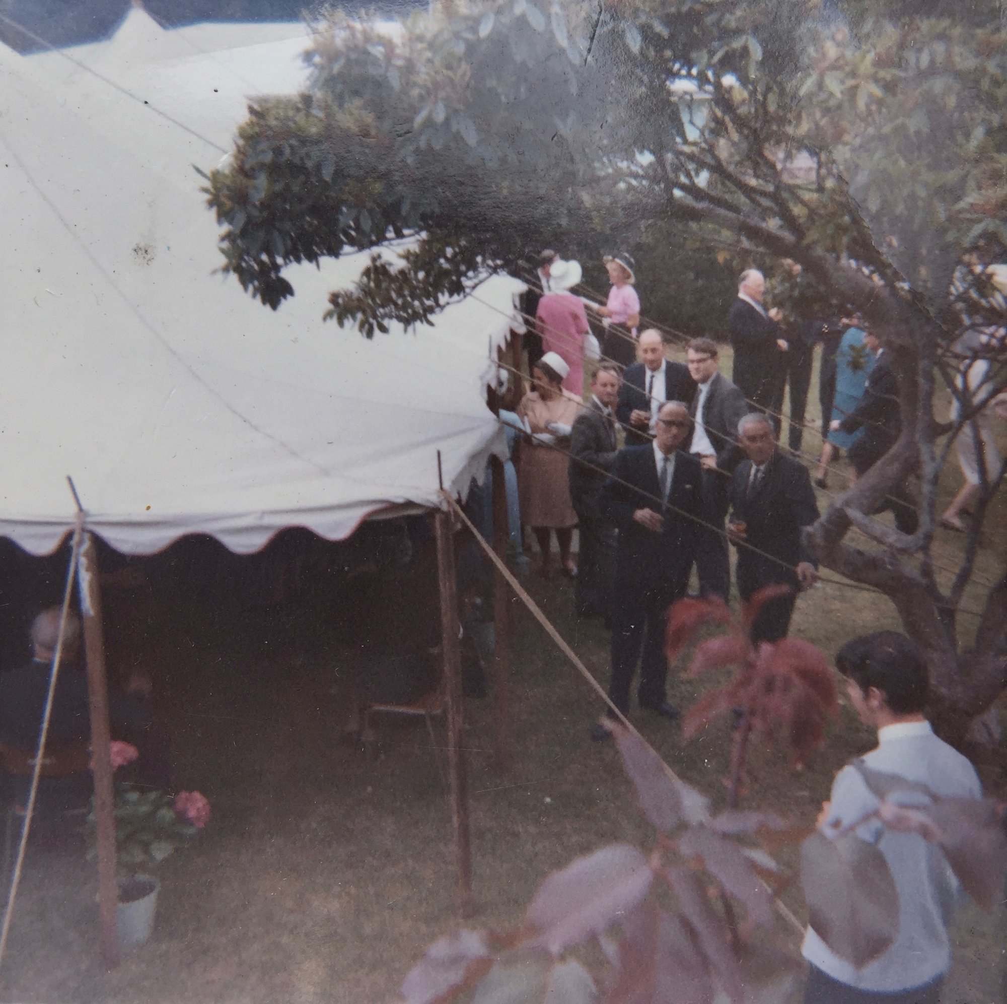 Wedding of Priscilla Hancock to Alistair Flett; 1965