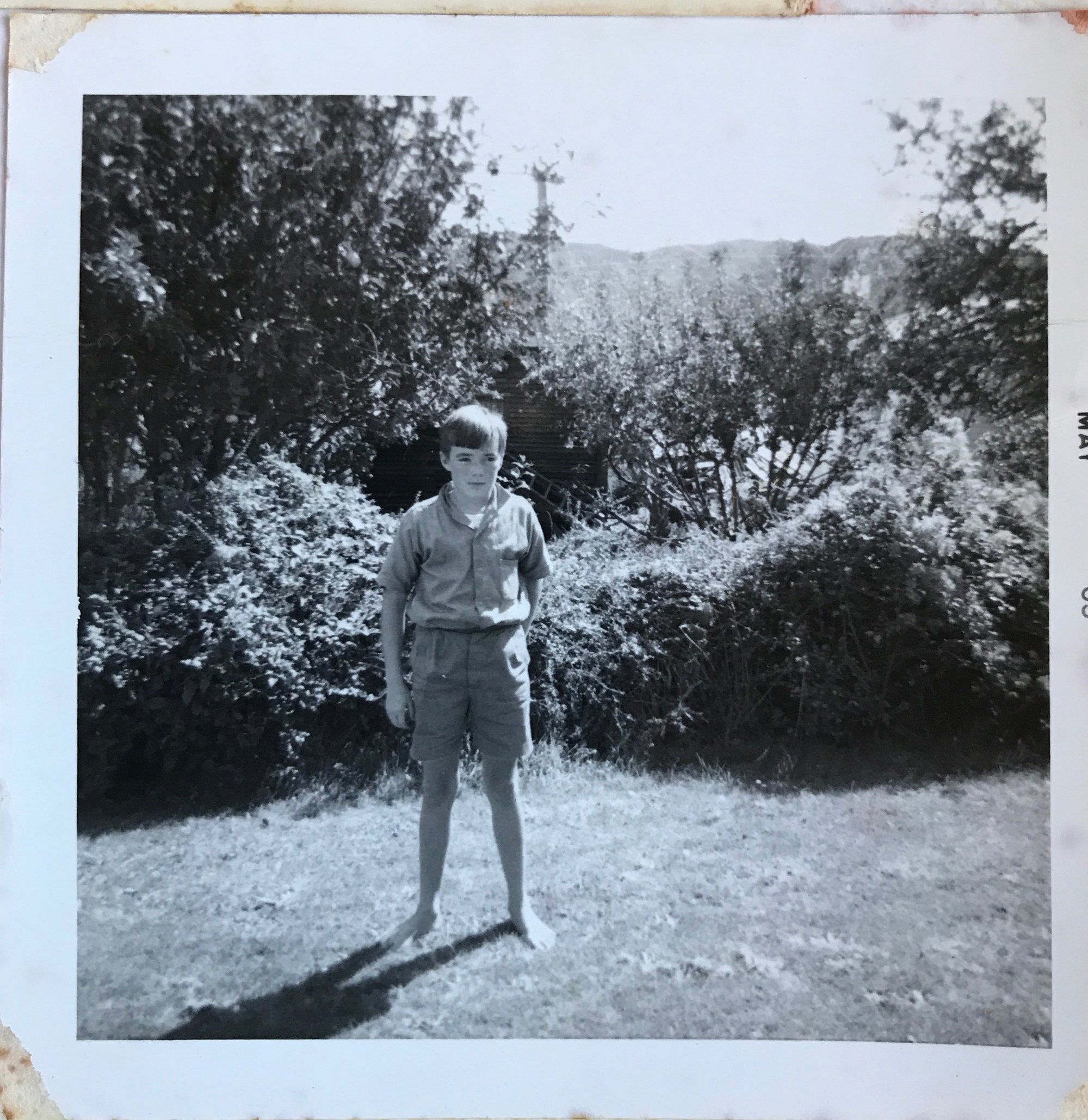 David Hancock, Maoribank, 1965