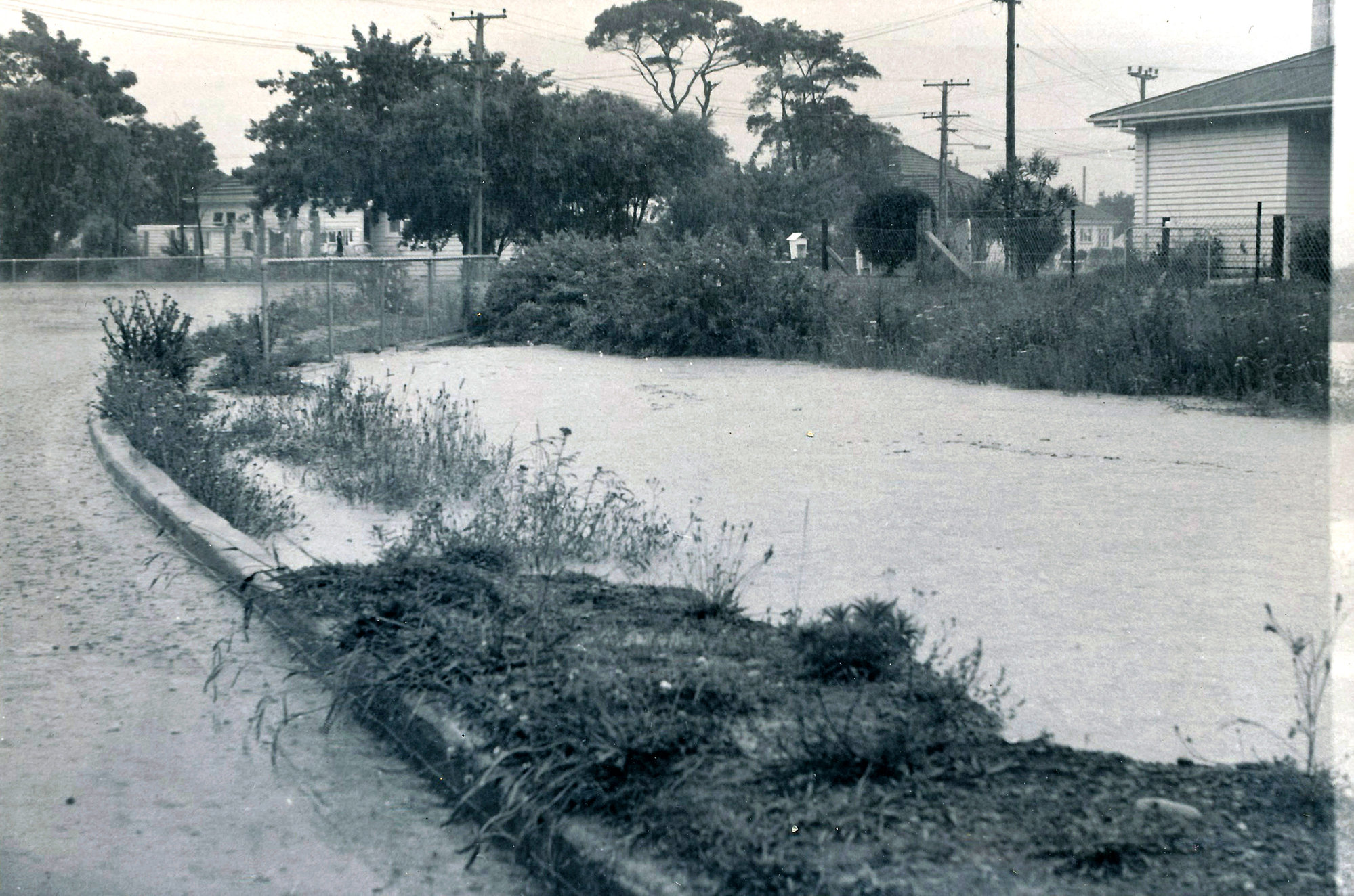 Flood, 1976; Silverstream, ref: 4 &mdash;  2 