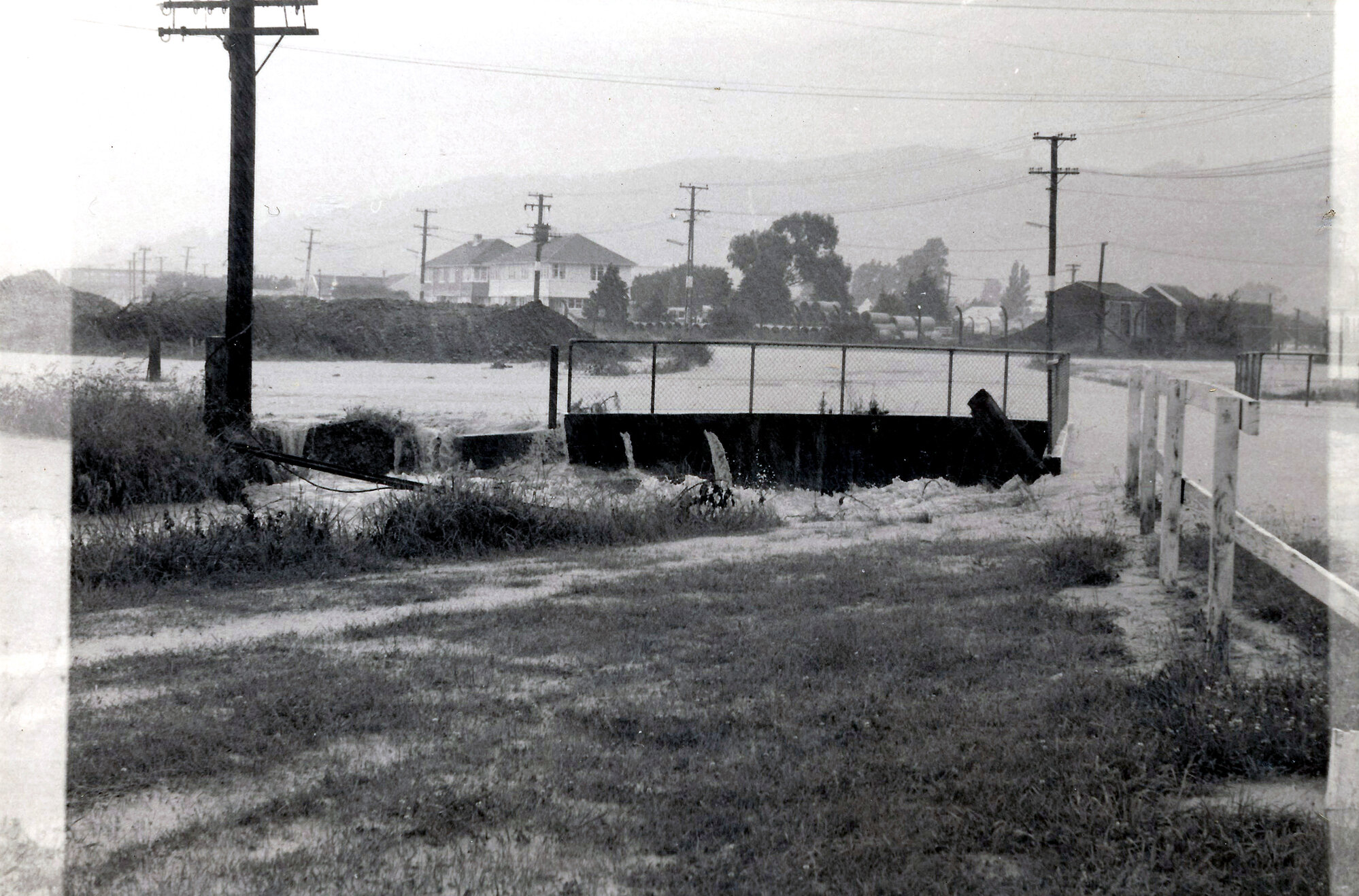 Flood, 1976; Silverstream, ref: 4 &mdash;  3 