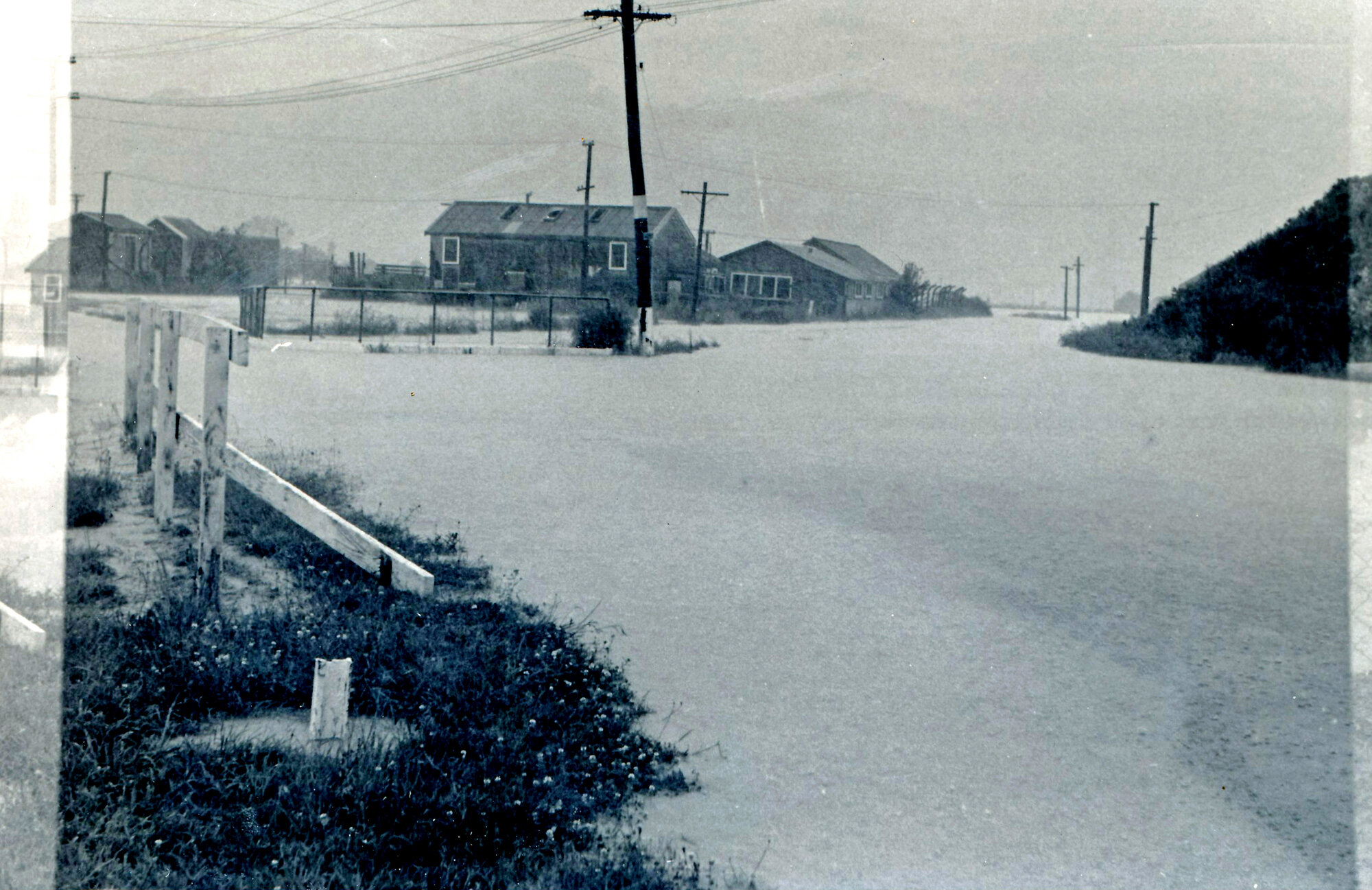 Flood, 1976; Silverstream, ref: 4 &mdash;  4