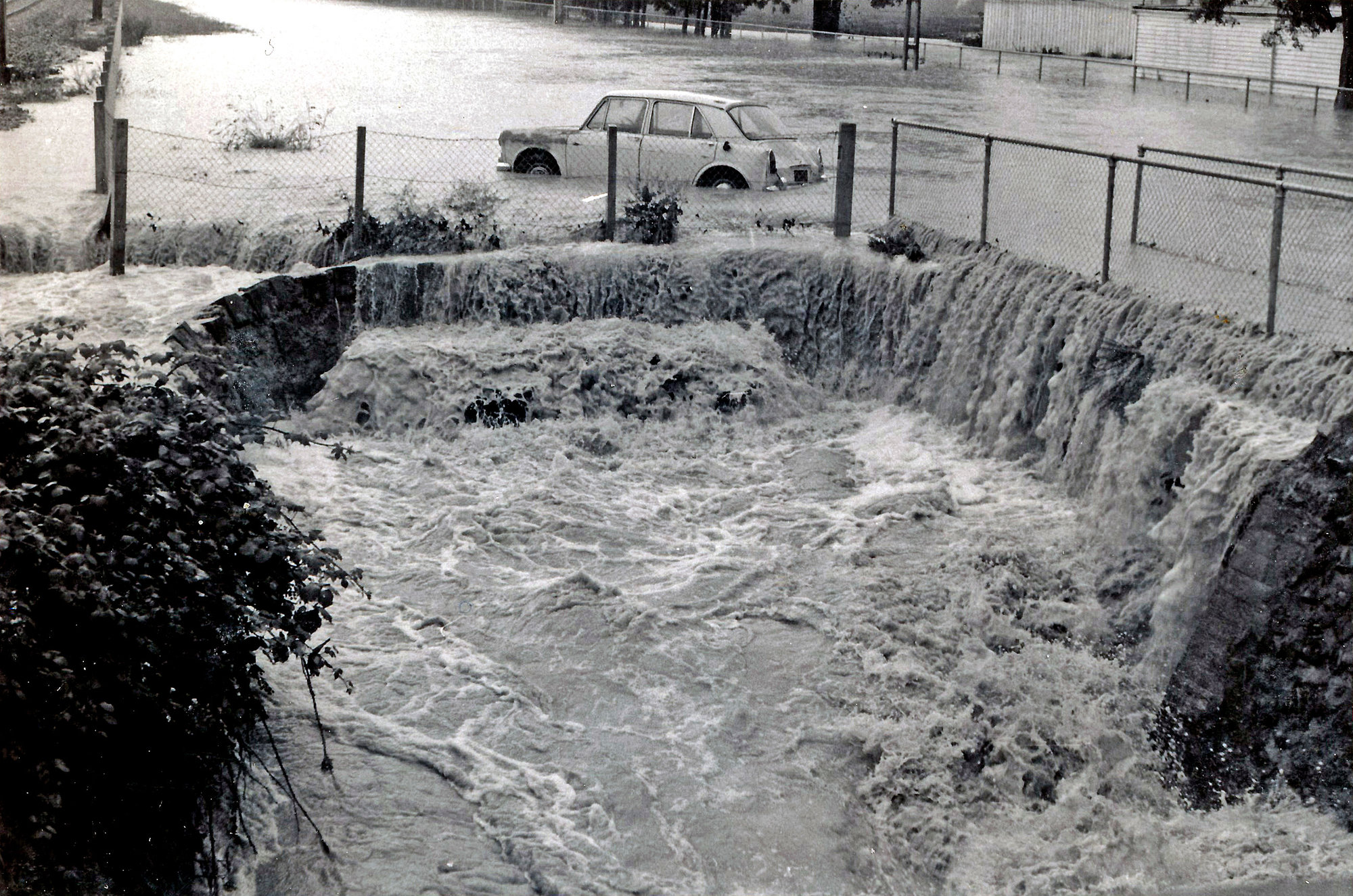 Flood, 1976; Silverstream, ref: 4 &mdash;  6