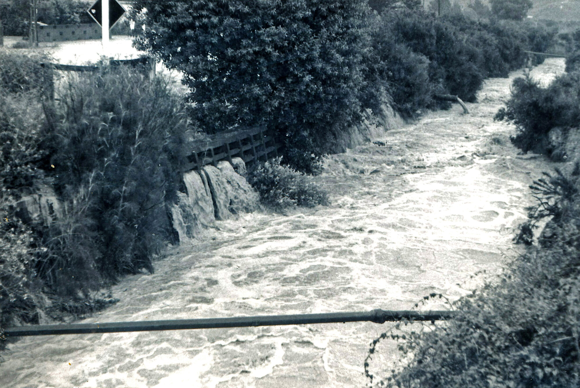 Flood, 1976; Silverstream, ref: 4 &mdash;  7