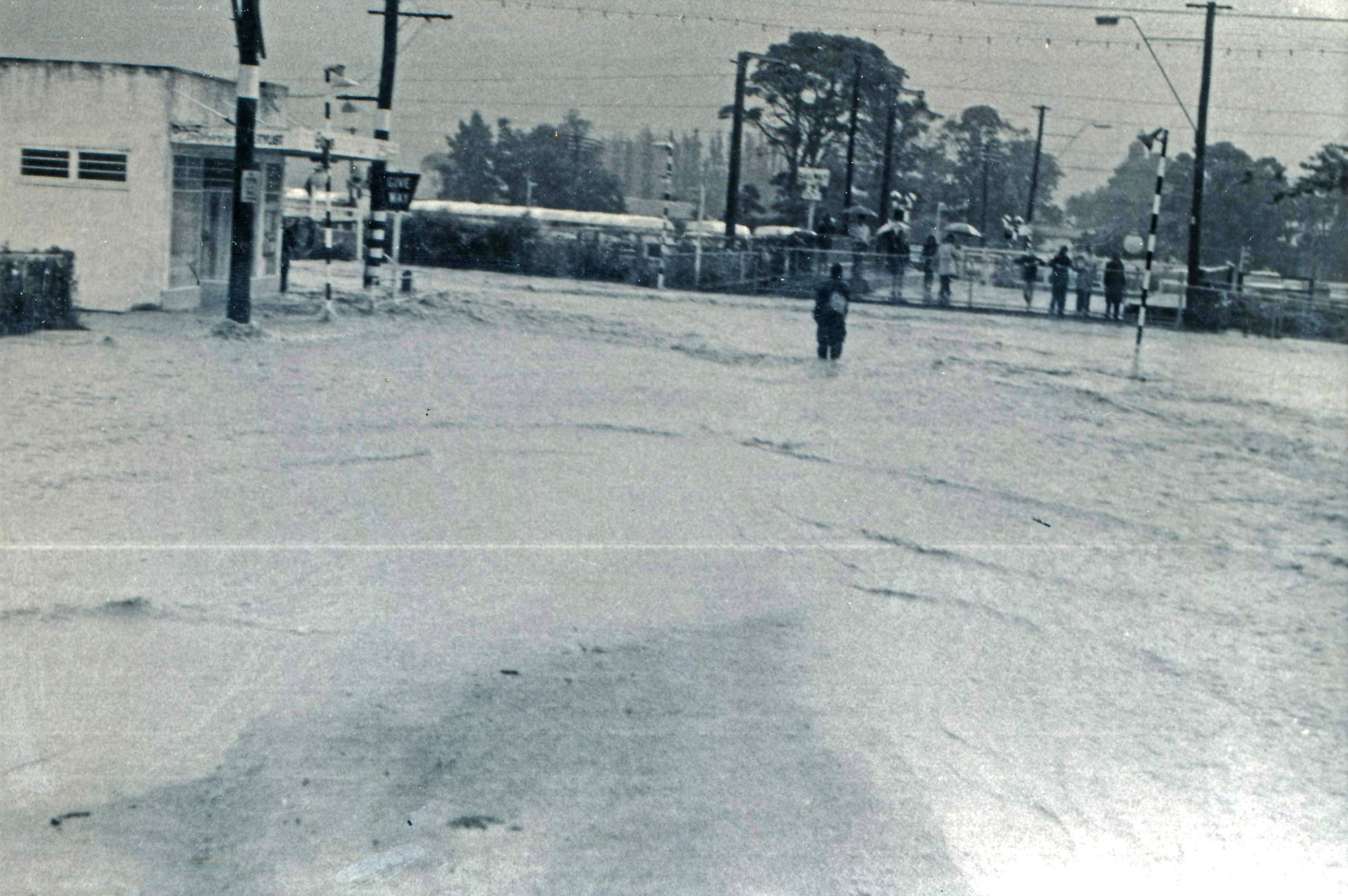 Flood, 1976; Silverstream, ref: 4 &mdash;  8