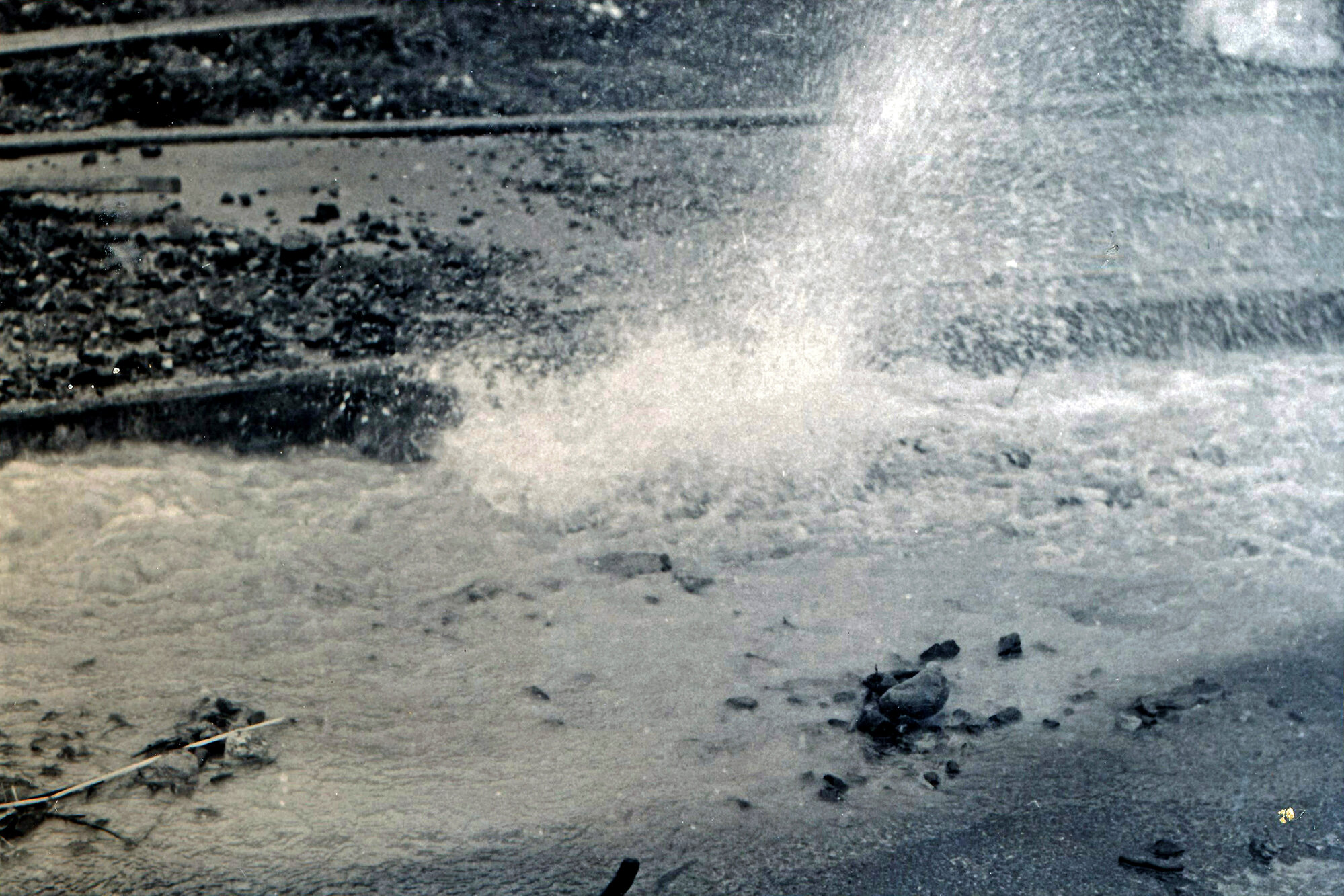 Flood, 1976; Silverstream, ref: 4 &mdash; 18