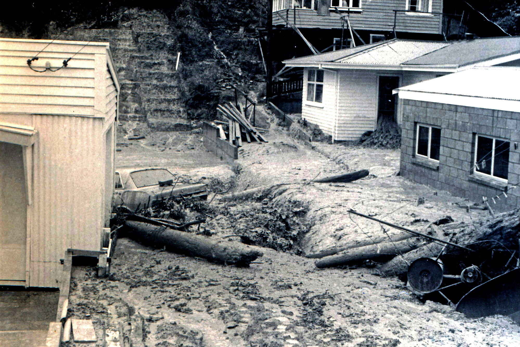 Flood, 1976; Silverstream, ref: 4 &mdash; 19