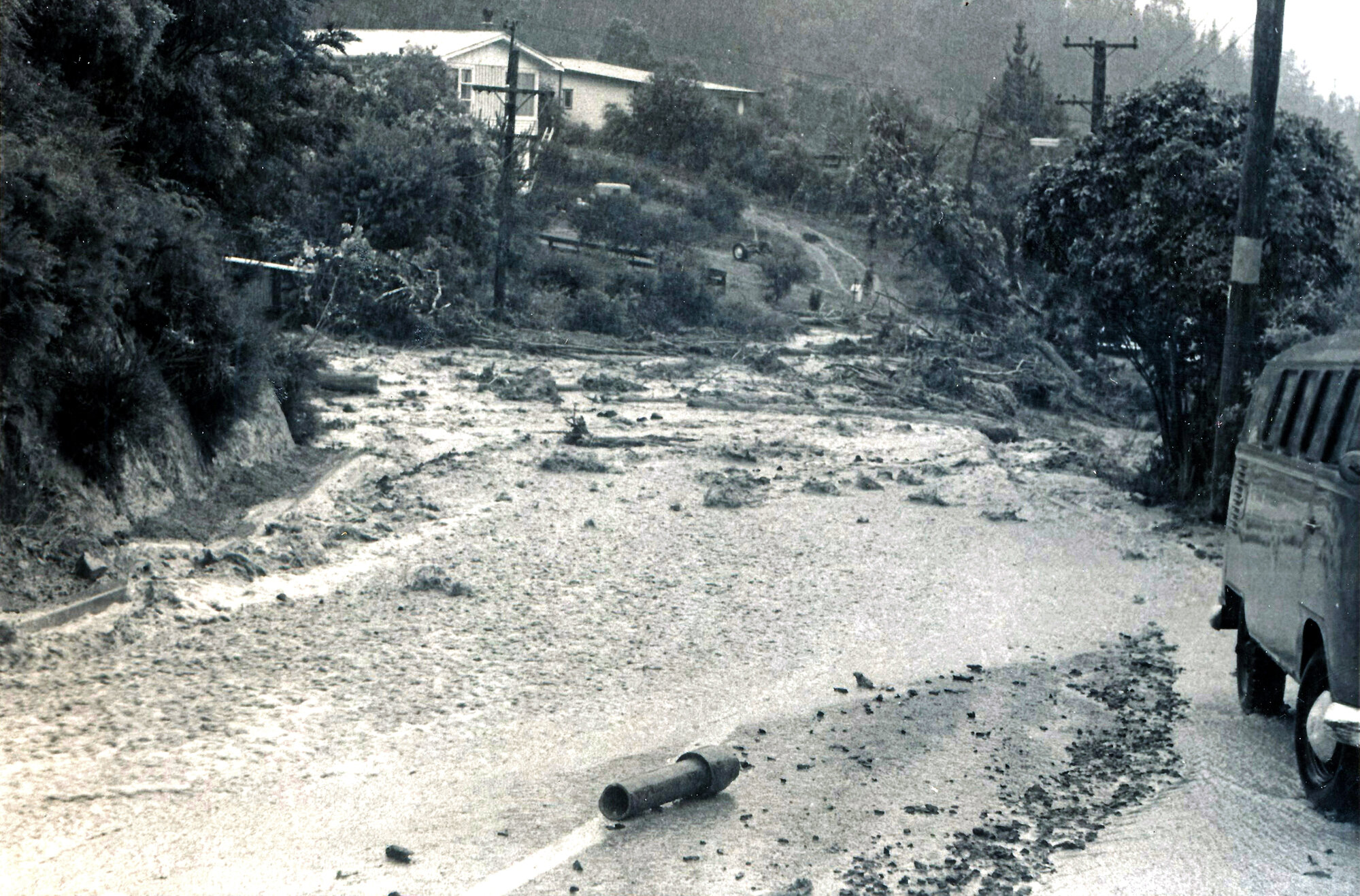 Flood, 1976; Silverstream, ref: 4 &mdash; 20