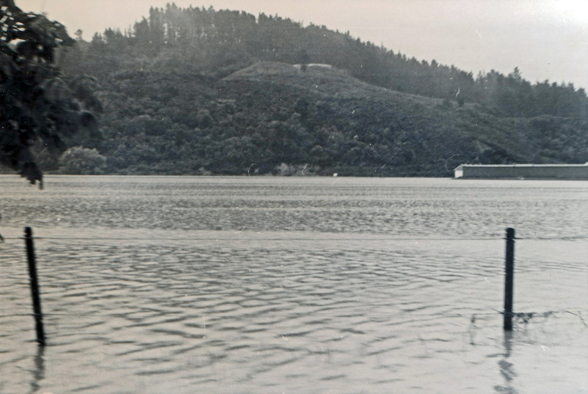 Flood, 1976; Silverstream, ref: 5 &mdash;  2