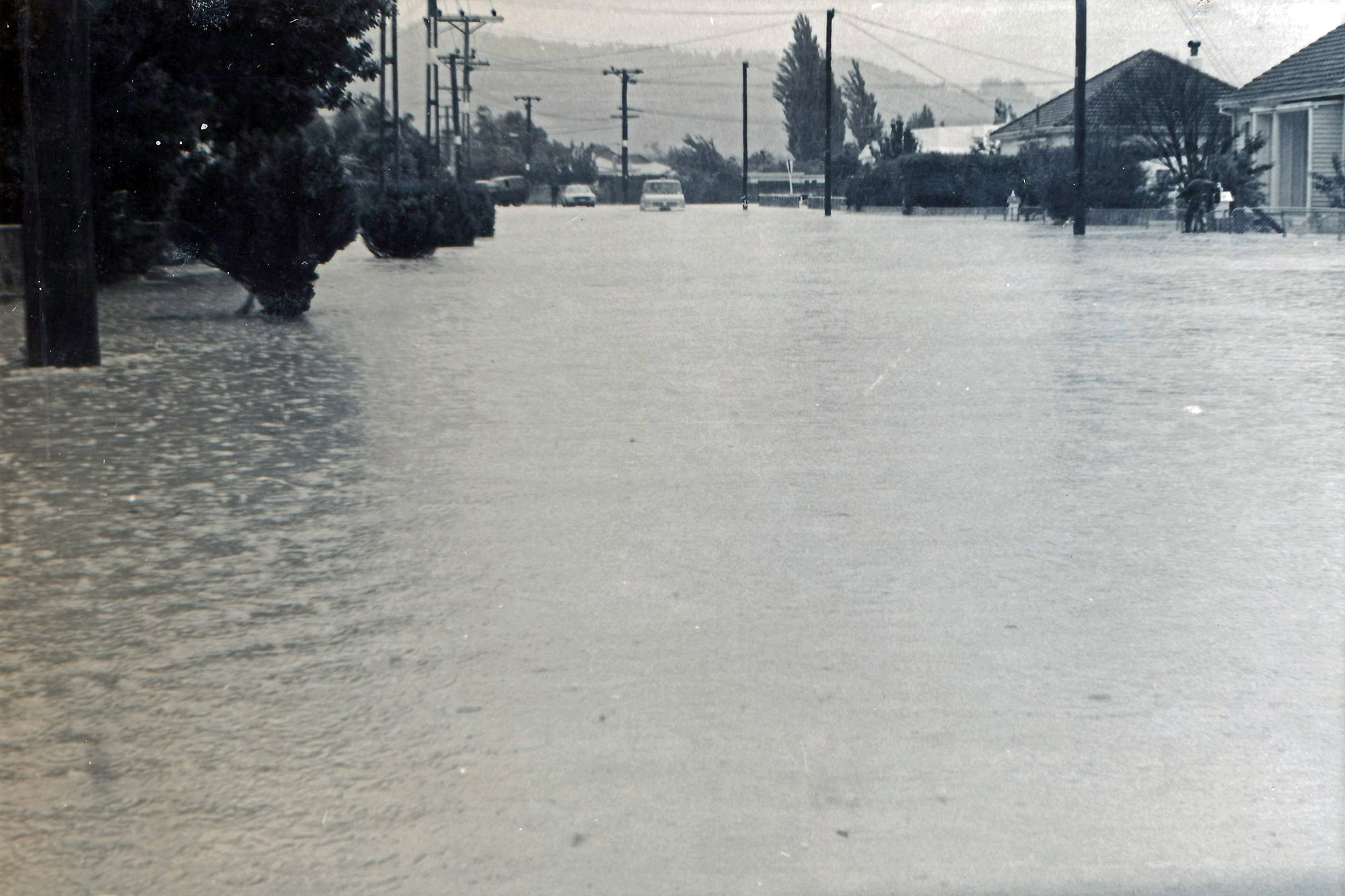 Flood, 1976; Silverstream, ref: 5 &mdash;  3