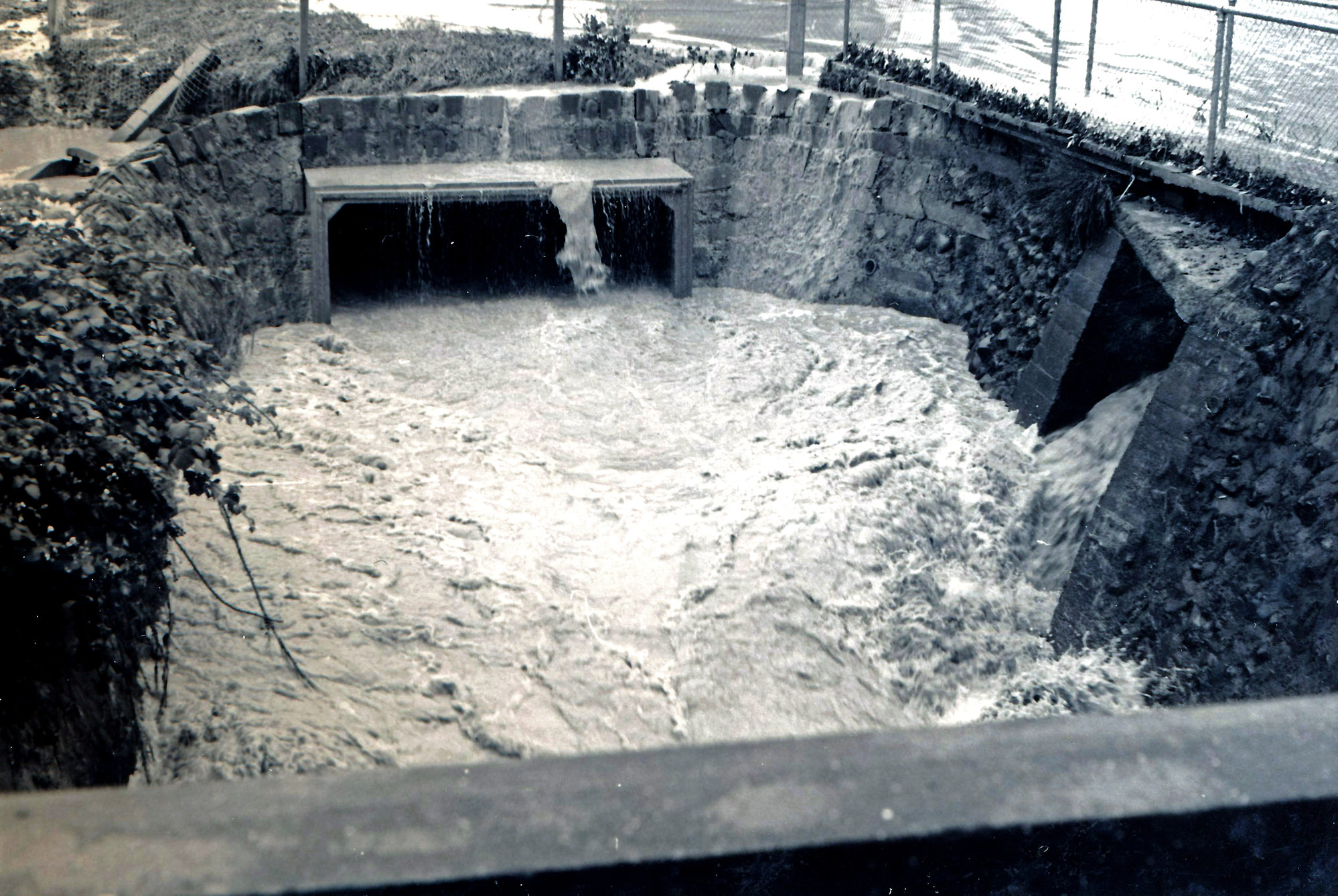 Flood, 1976; Silverstream, ref: 5 &mdash;  4 