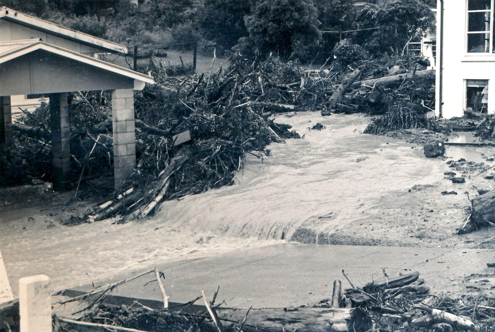 Flood, 1976; Silverstream, ref: 5 &mdash;  7