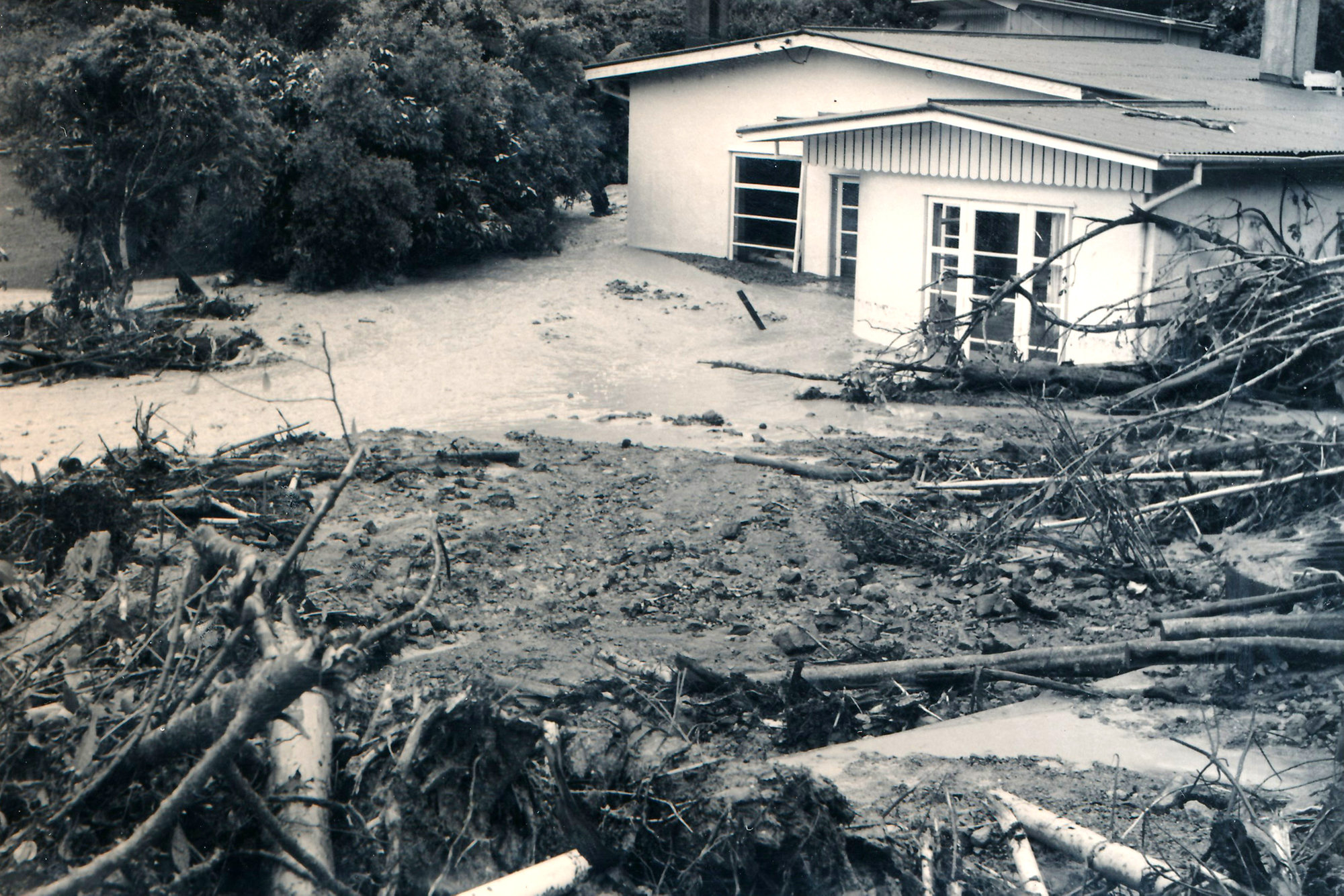 Flood, 1976; Silverstream, ref: 5 &mdash;  8
