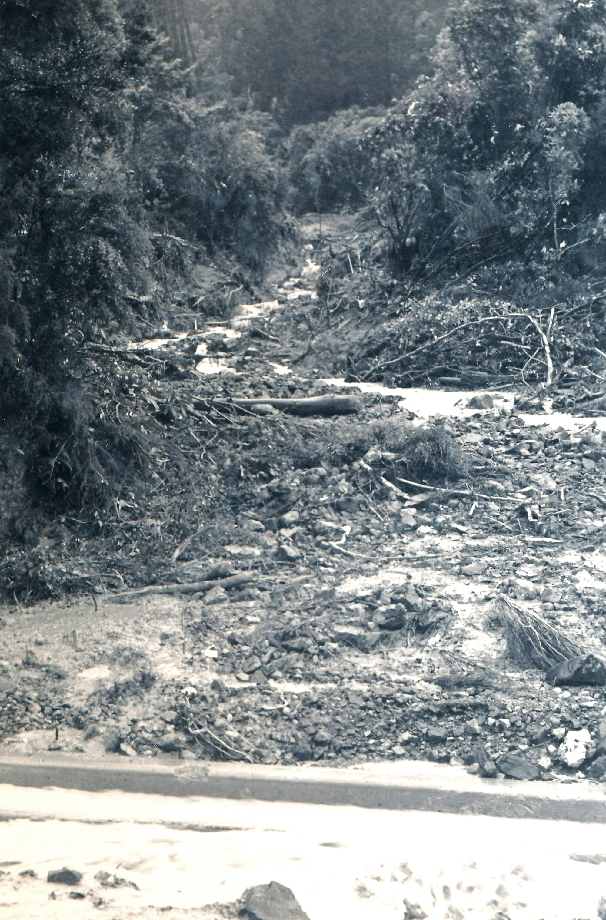 Flood, 1976; Silverstream, ref: 5 &mdash;  9