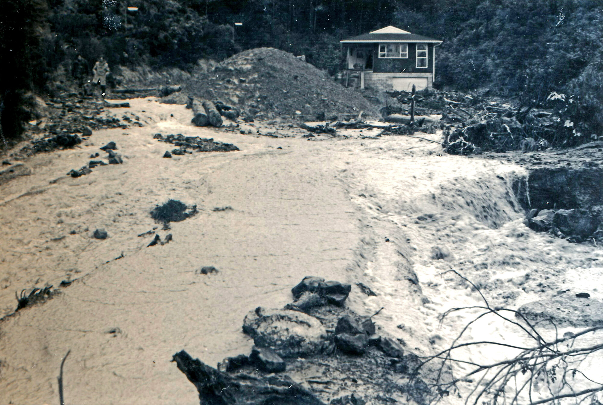 Flood, 1976; Silverstream, ref: 5 &mdash; 15