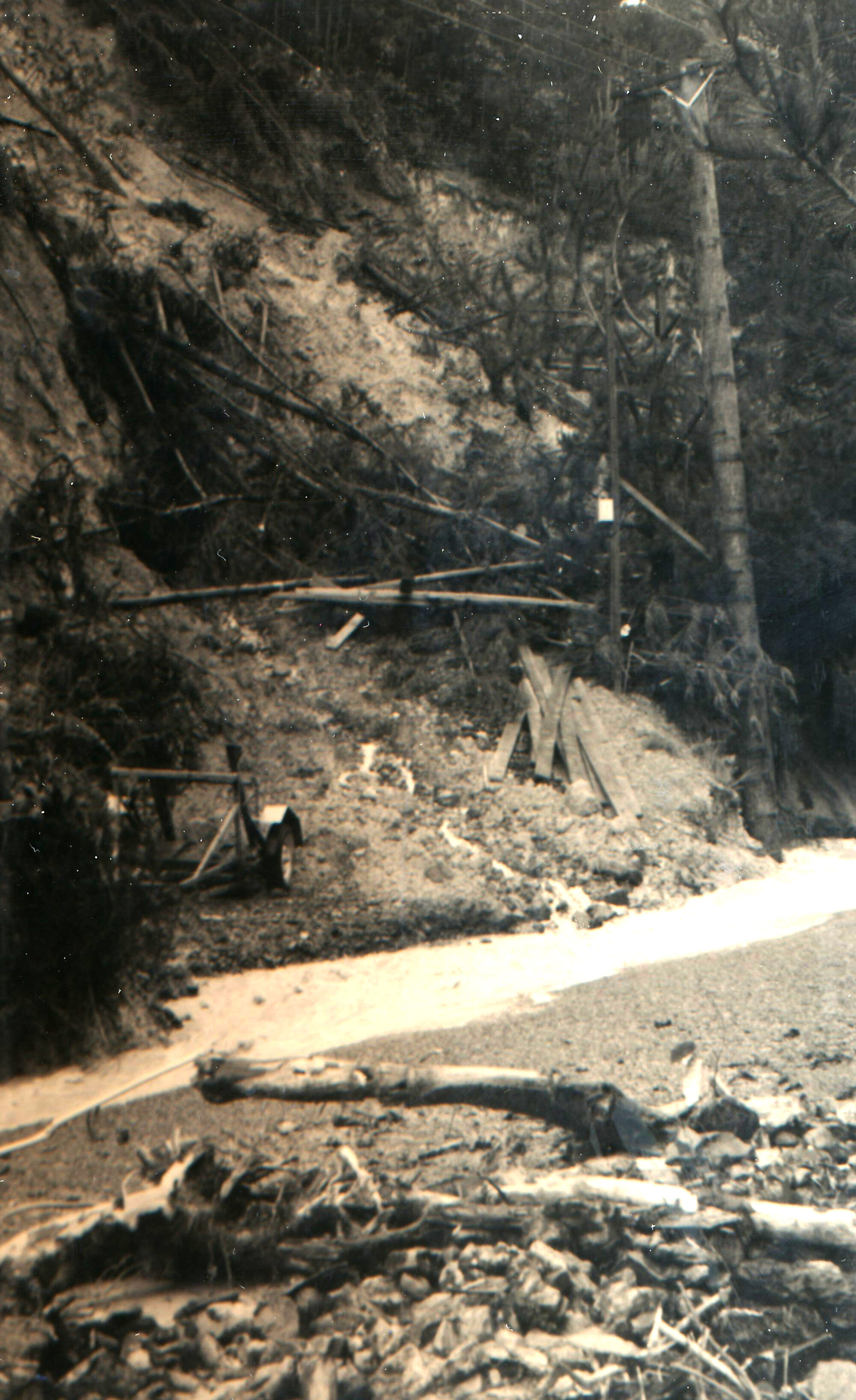 Flood, 1976; Silverstream, ref: 5 &mdash; 17