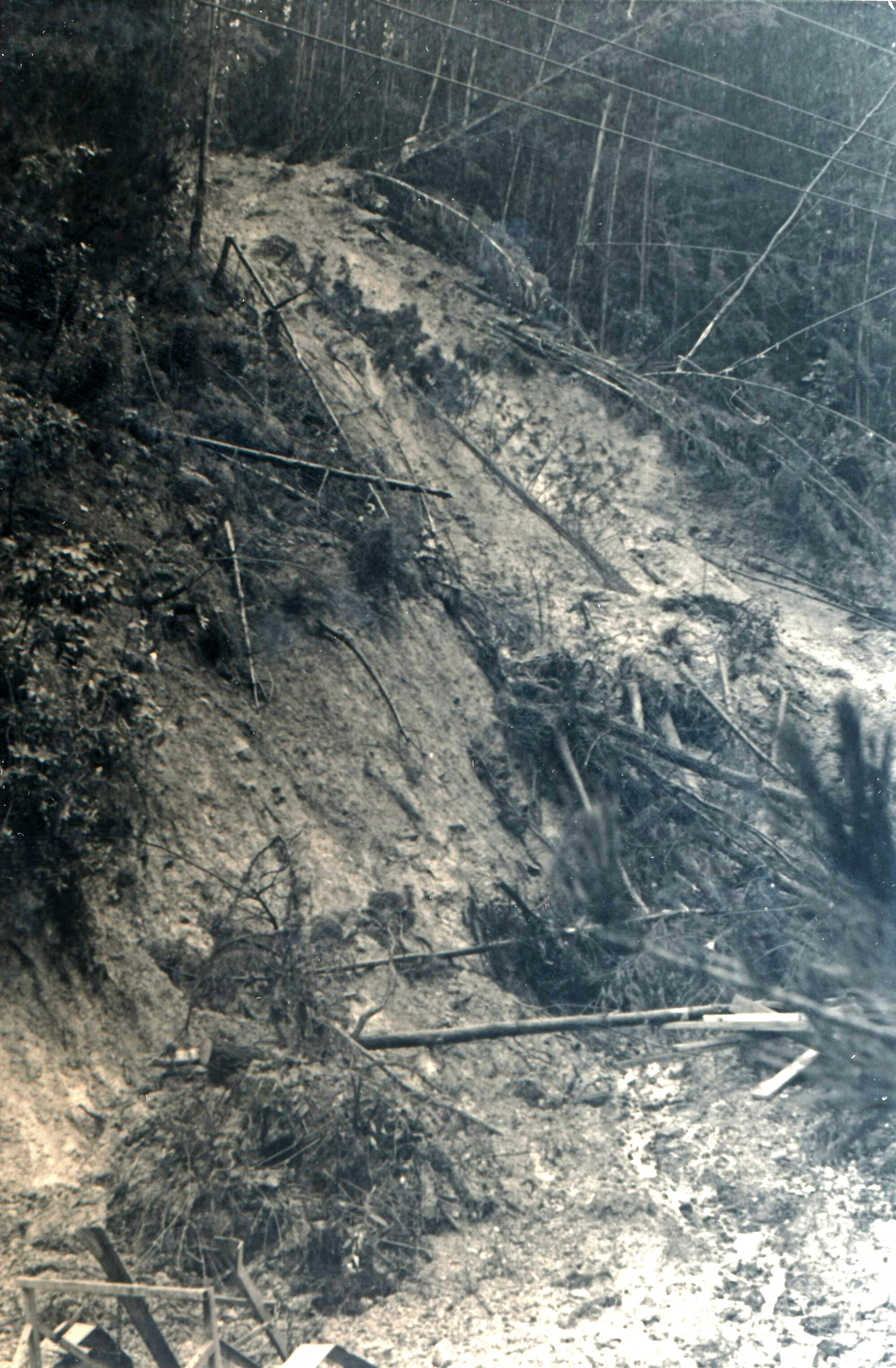 Flood, 1976; Silverstream, ref: 5 &mdash; 18