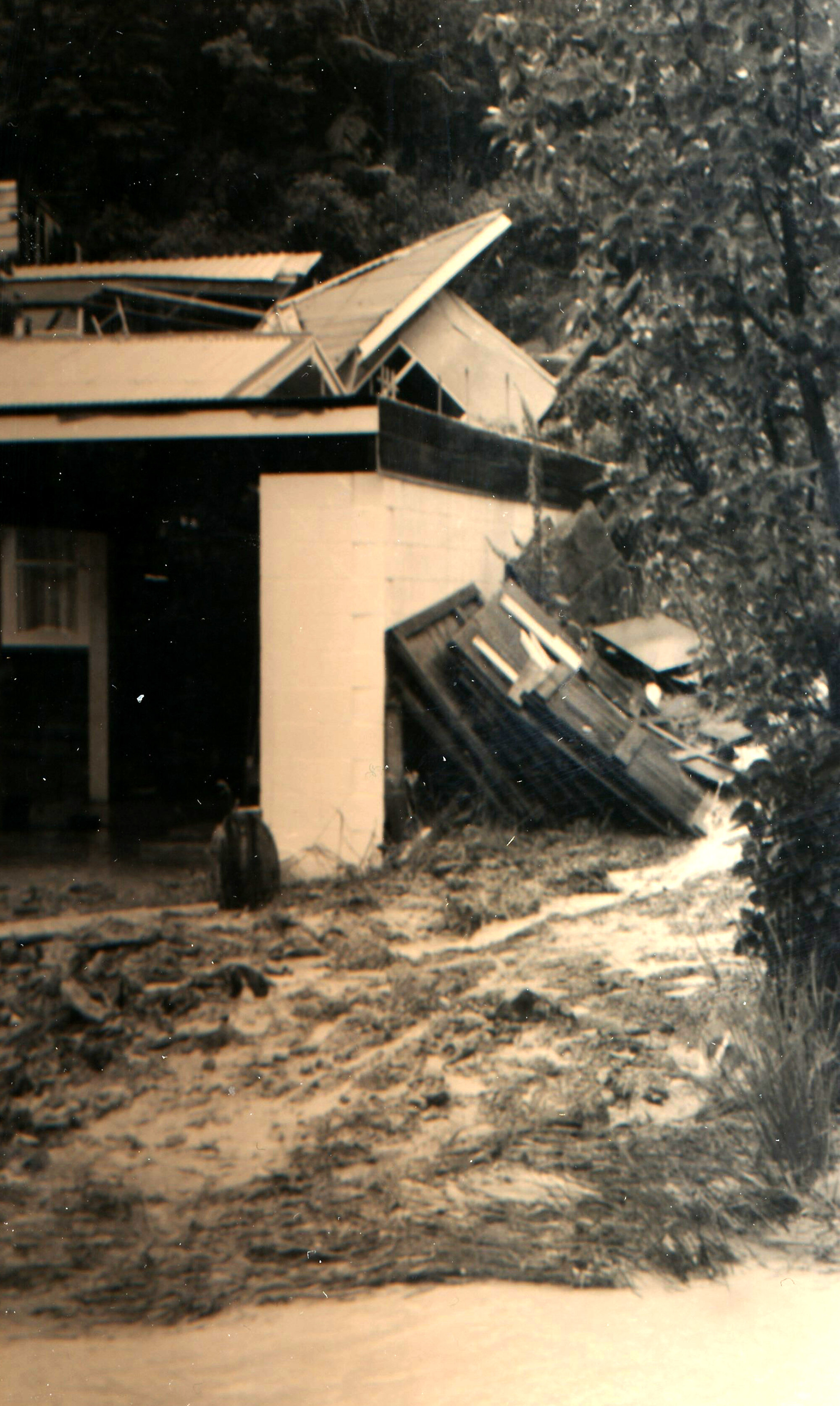 Flood, 1976; Silverstream, ref: 5 &mdash; 19 