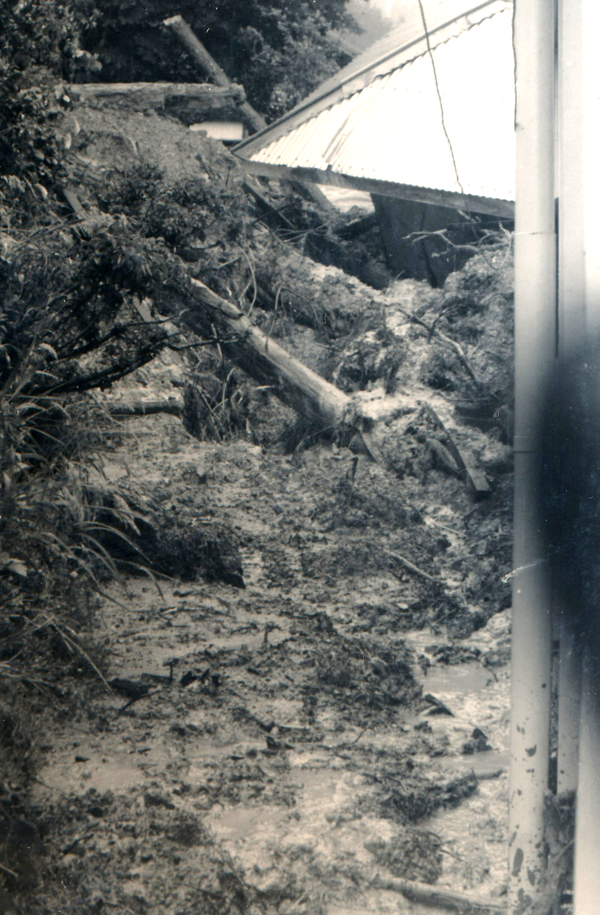 Flood, 1976; Silverstream, ref: 5 &mdash; 20 