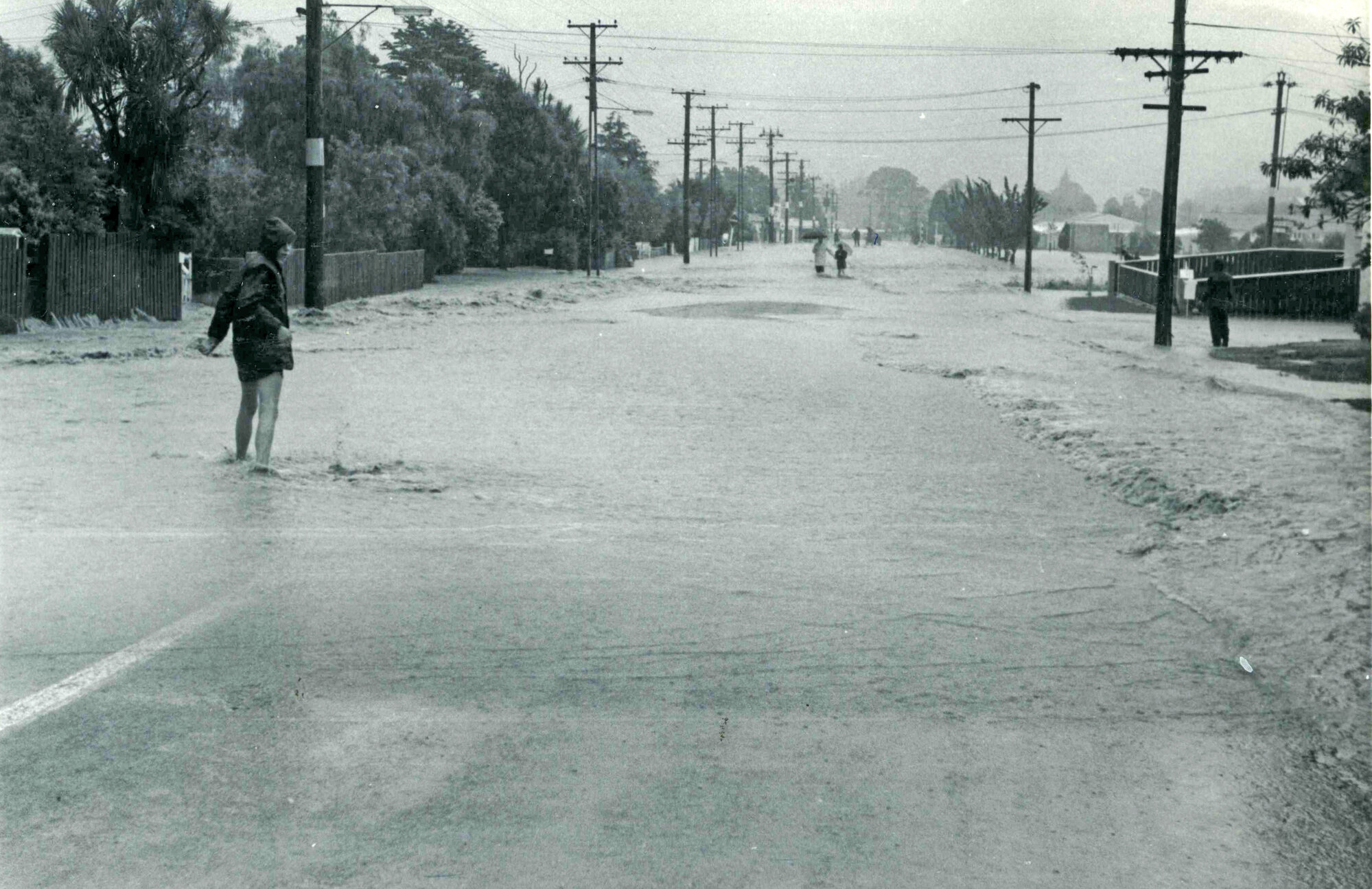 Flood, 1976; Silverstream, ref: 4 &mdash; 10