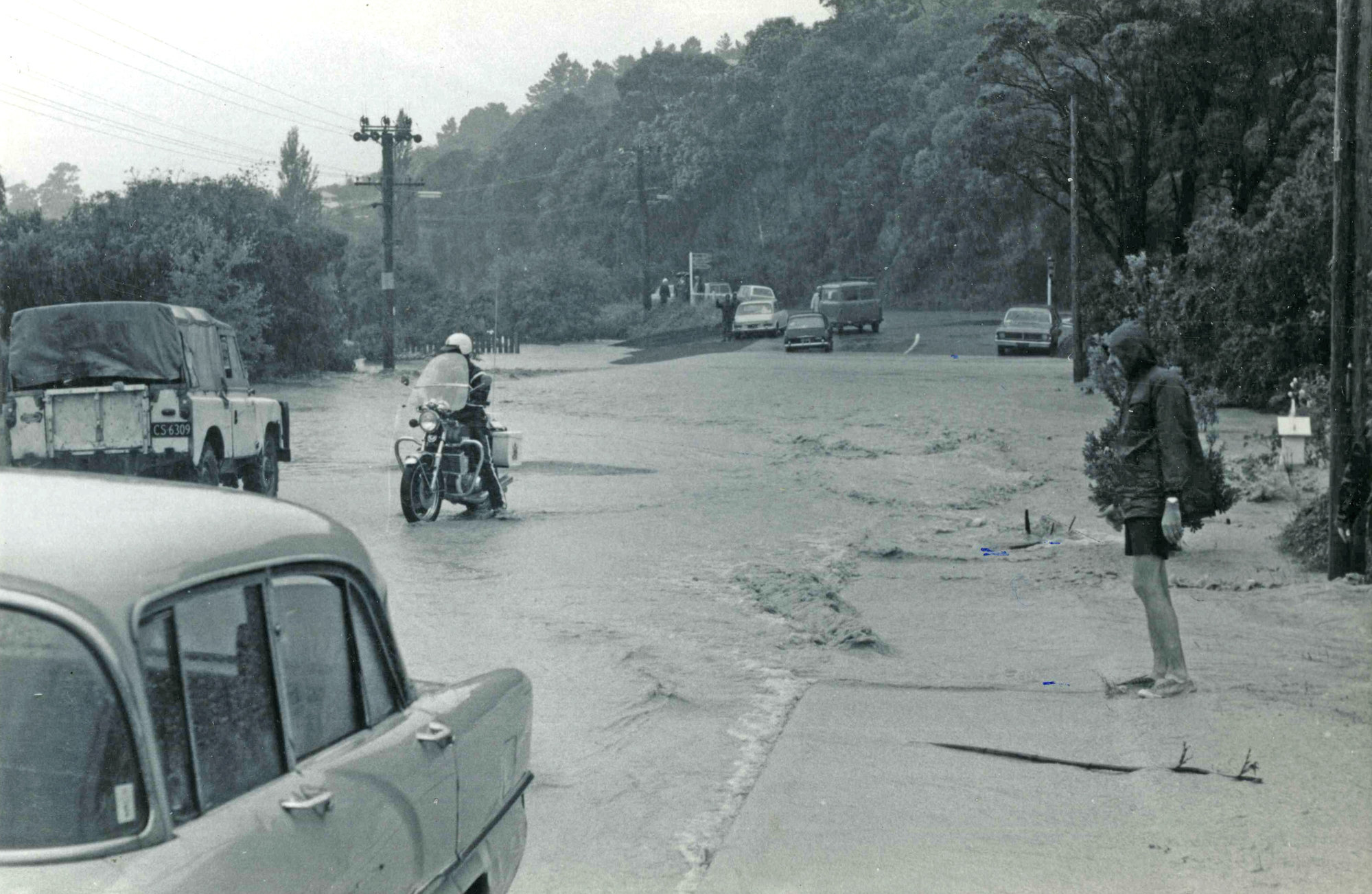 Flood, 1976; Silverstream, ref: 4 &mdash; 11