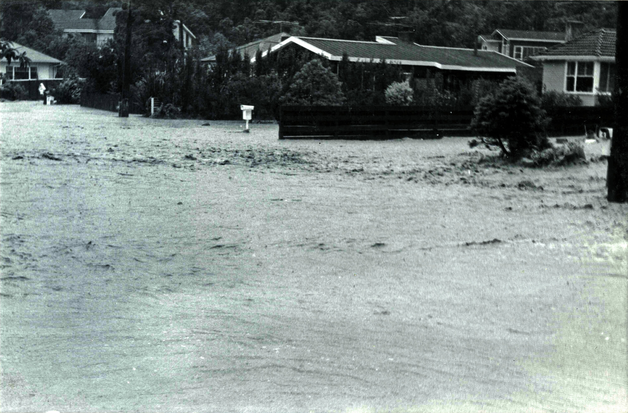 Flood, 1976; Silverstream, ref: 4 &mdash; 12