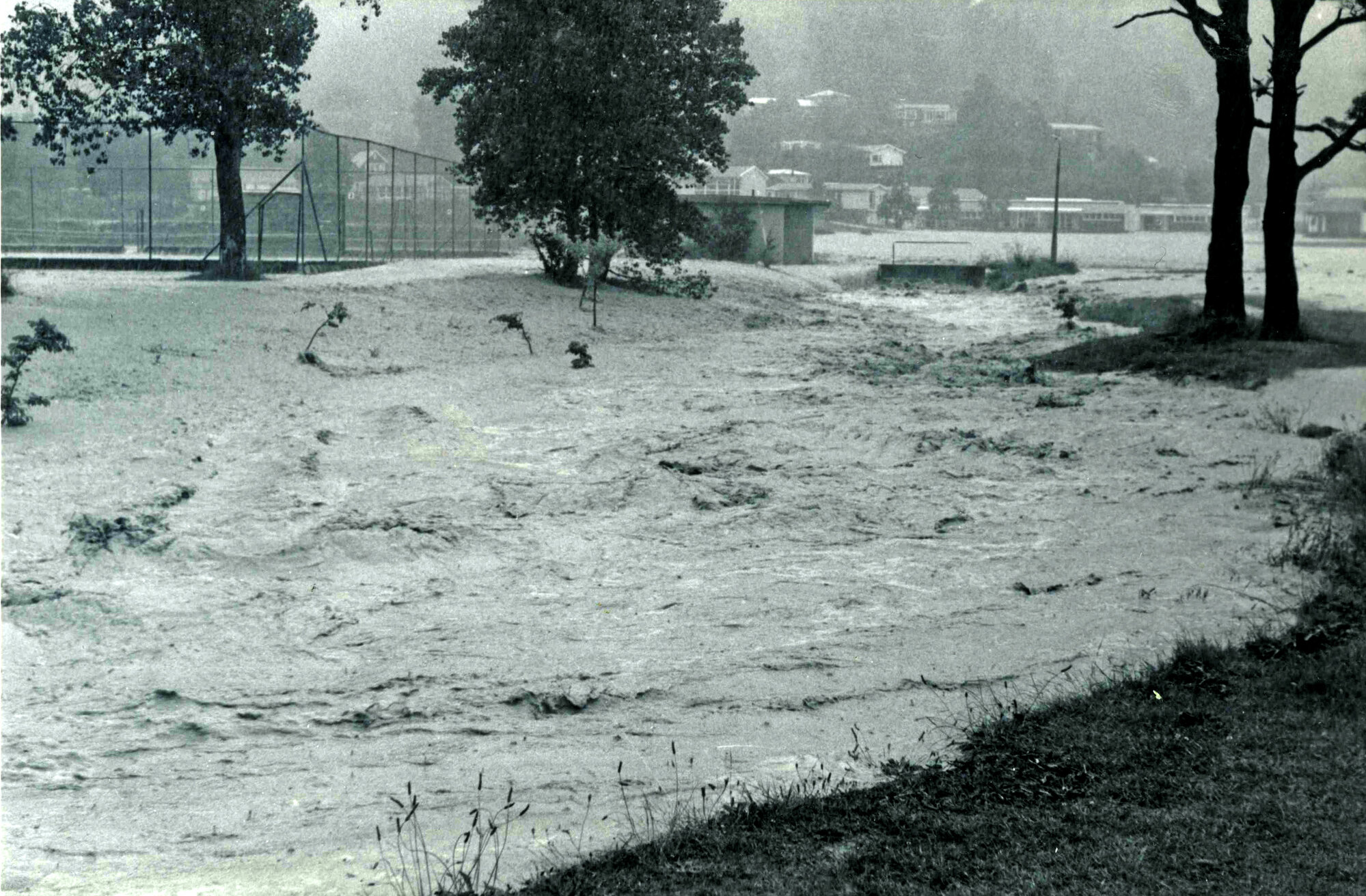 Flood, 1976; Silverstream, ref: 4 &mdash; 13