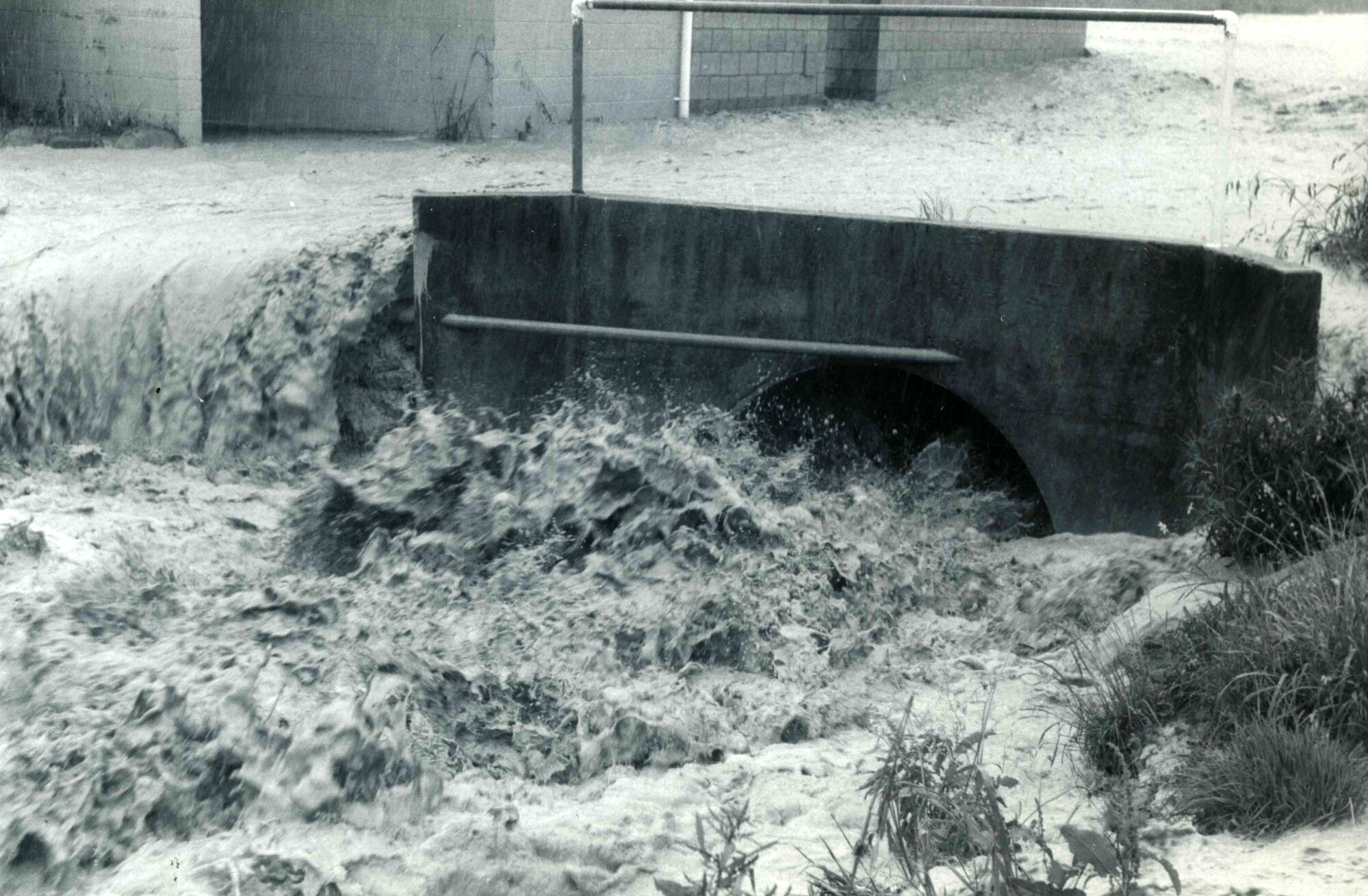 Flood, 1976; Silverstream, ref: 4 &mdash; 14