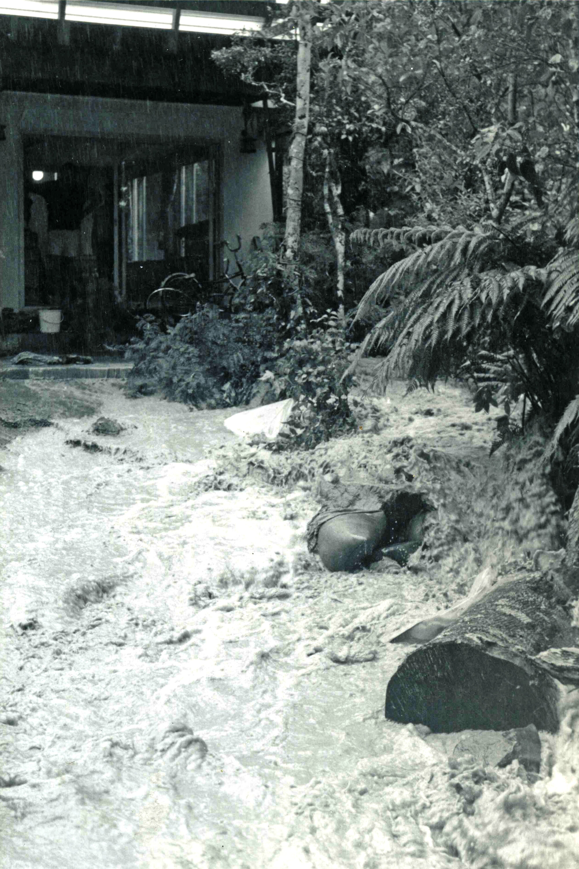 Flood, 1976; Silverstream, ref: 4 &mdash; 15