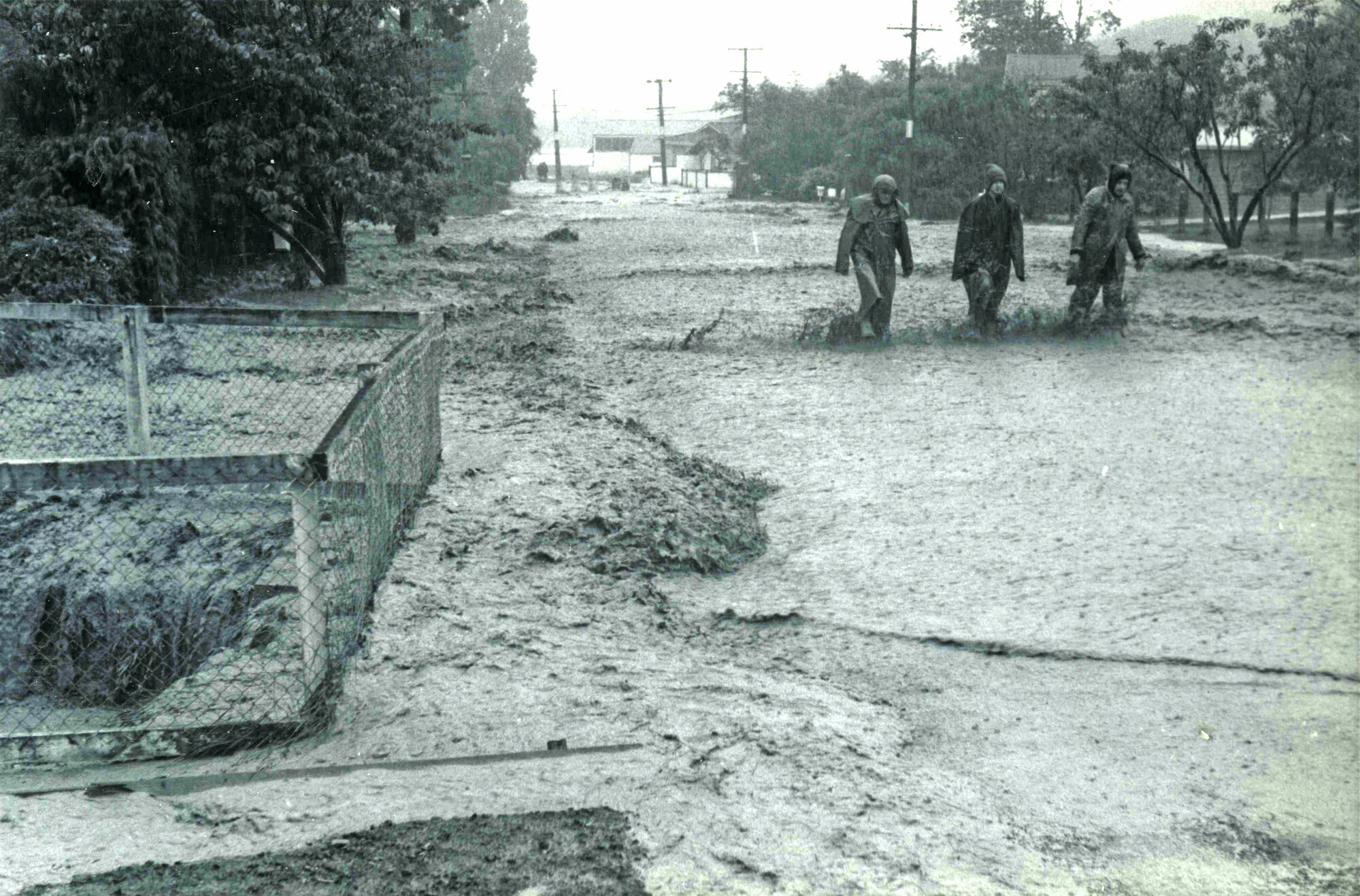 Flood, 1976; Silverstream, ref: 4 &mdash; 17