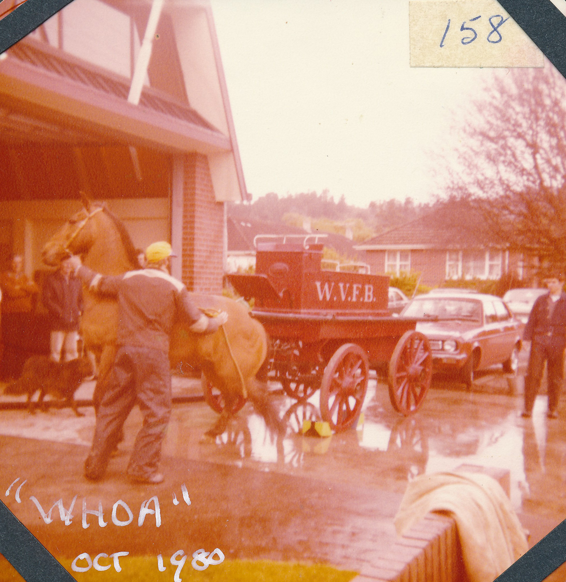 Silverstream Volunteer Fire Brigade, 1980; 50th anniversary celebration; display; hand-pumped horse-drawn engine