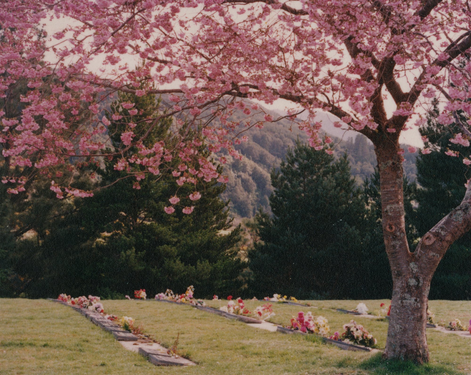 Akatarawa Cemetery