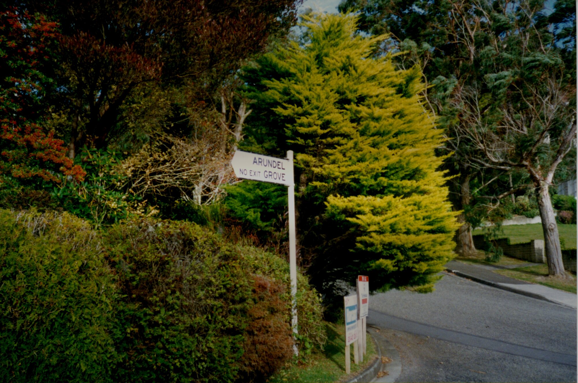 Redvers subdivision, eastern end of Chatsworth Road; street sign for Arundel Grove