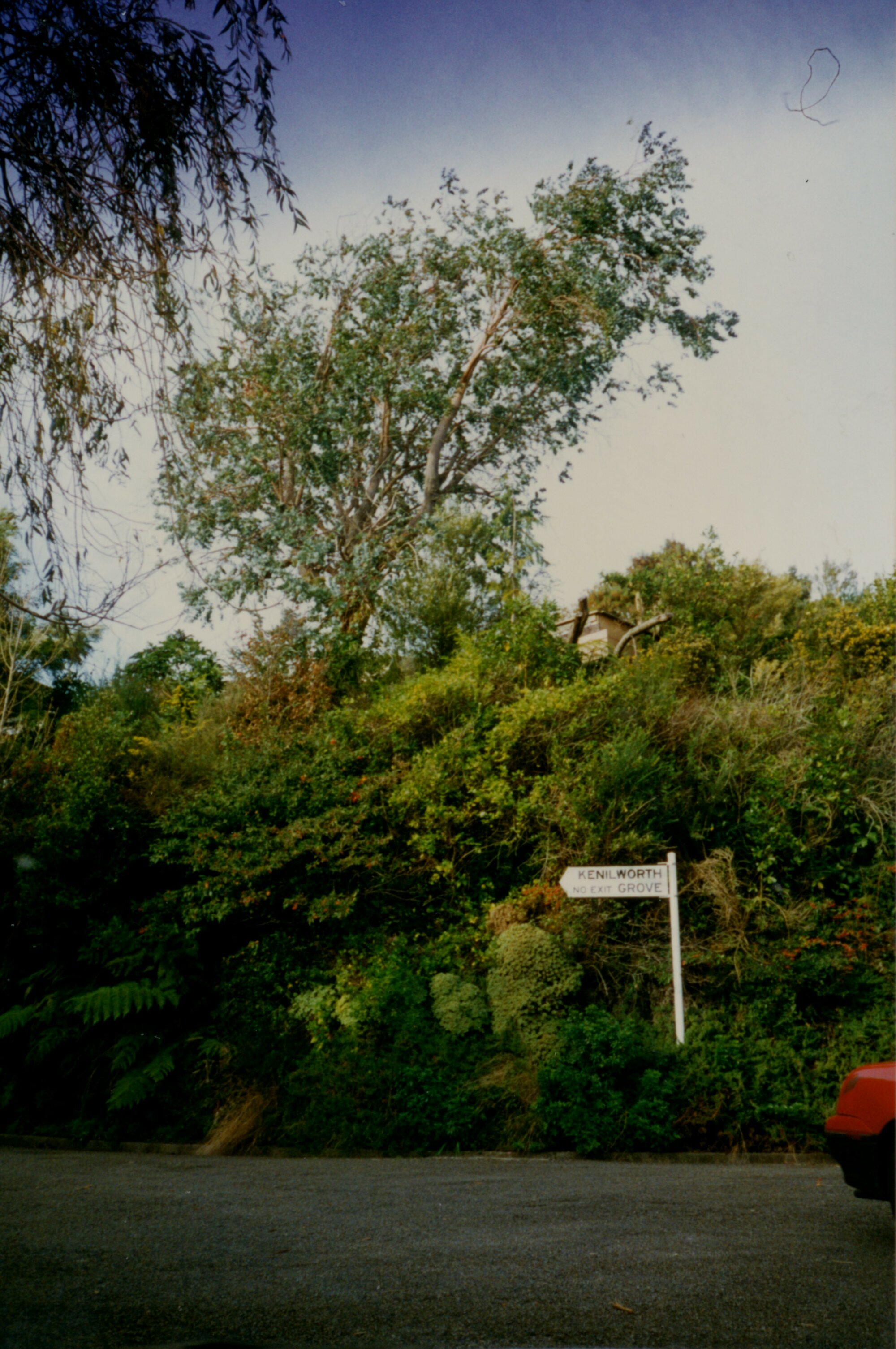 Redvers subdivision, eastern end of Chatsworth Road; street sign for Kenilworth Grove