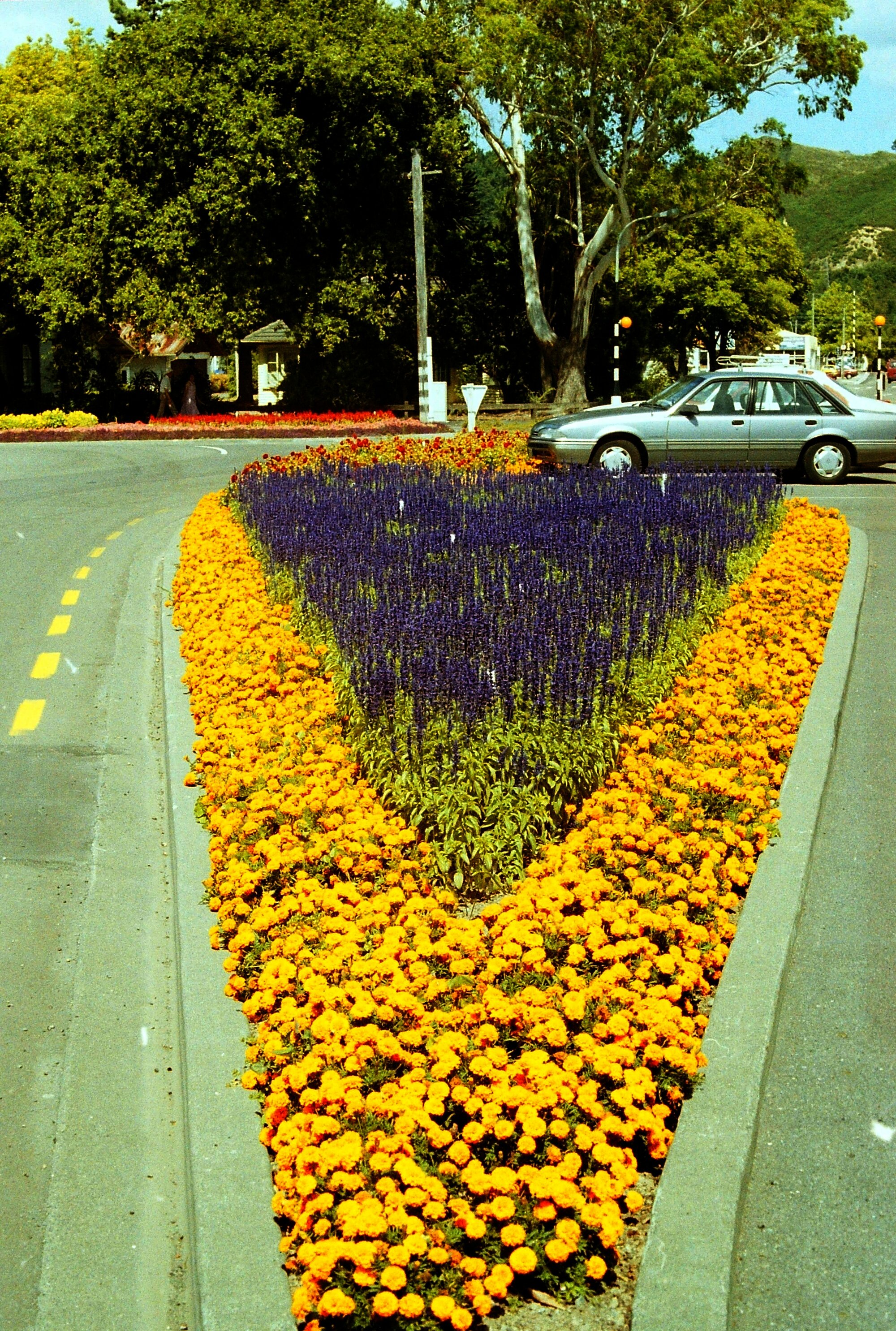Gardens, Fergusson Drive; west side, between Main and Blenheim streets