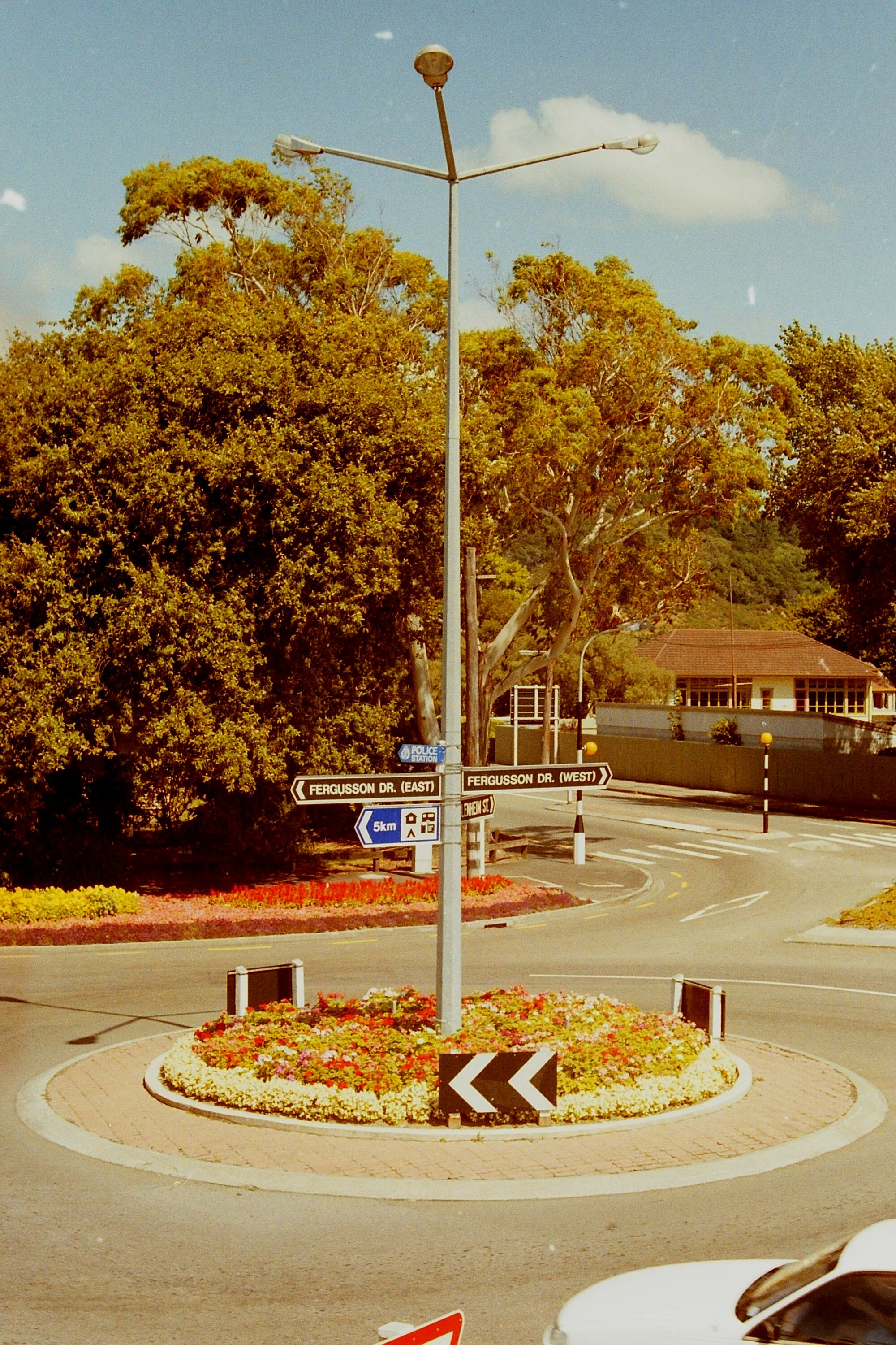 Gardens, Fergusson Drive; Blenheim Streeet roundabout
