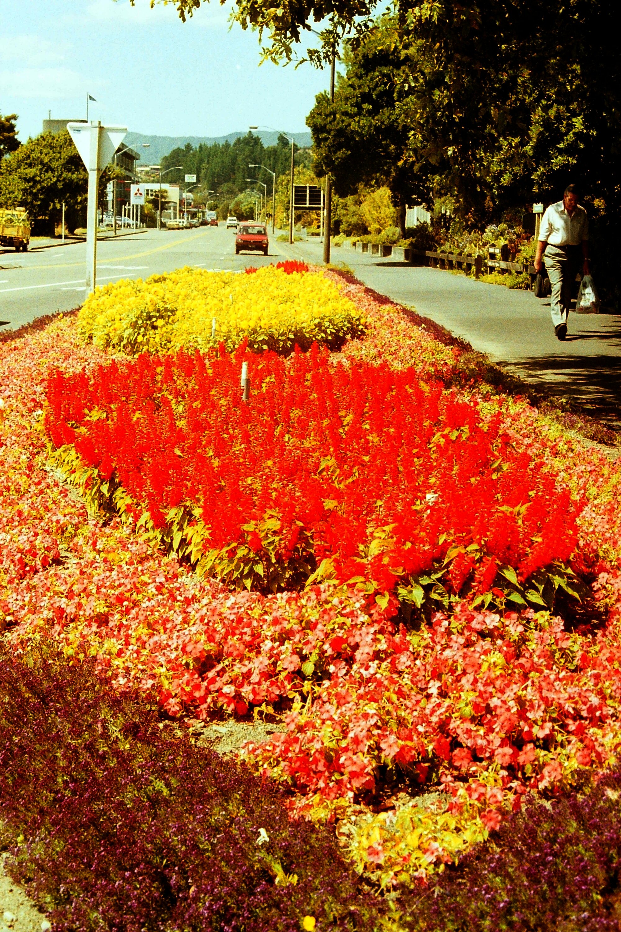 Gardens, Fergusson Drive; south side, looking east from Blenheim Street