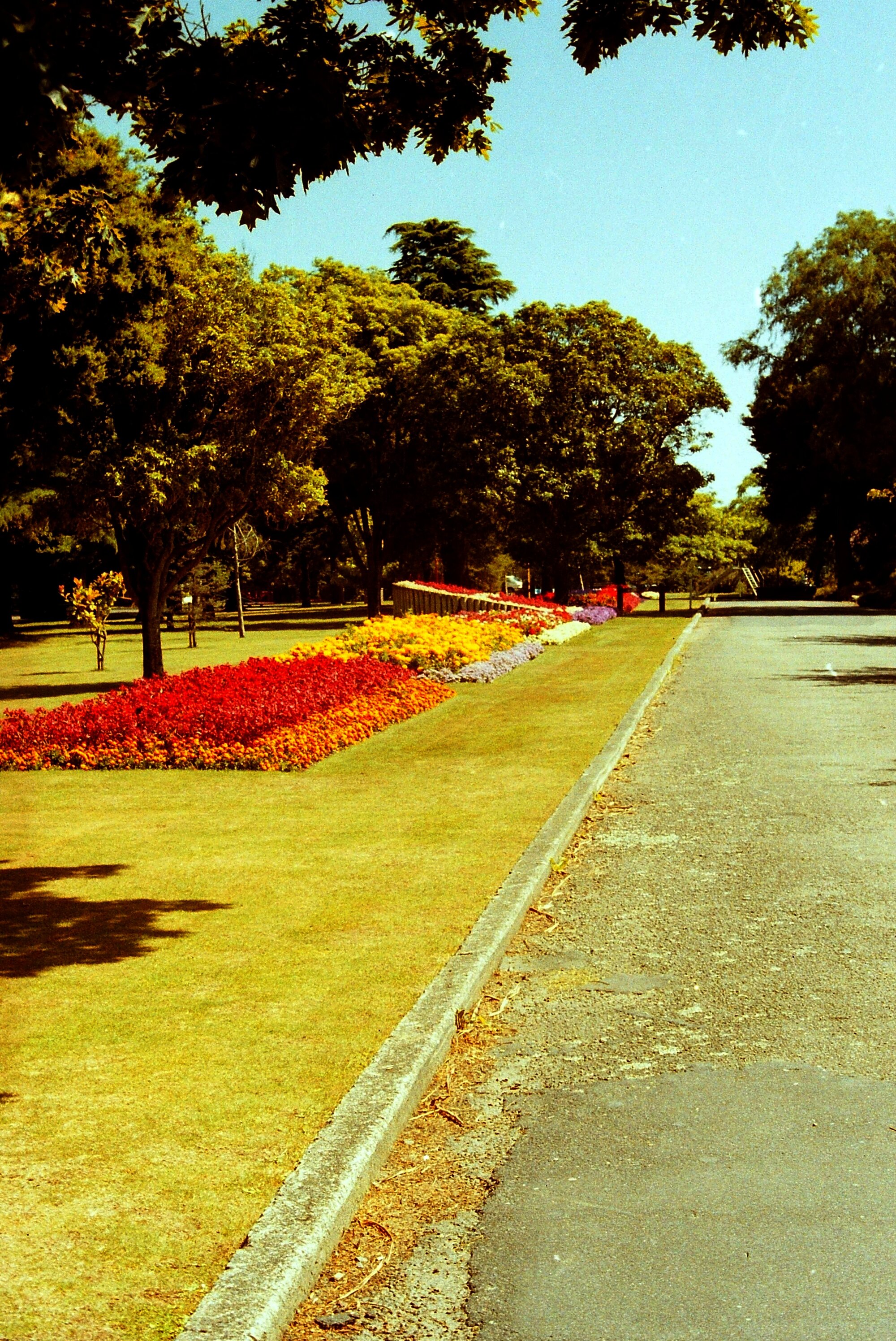 Gardens, Park Street; Maidstone Park east-west drive, south side, looking west 2