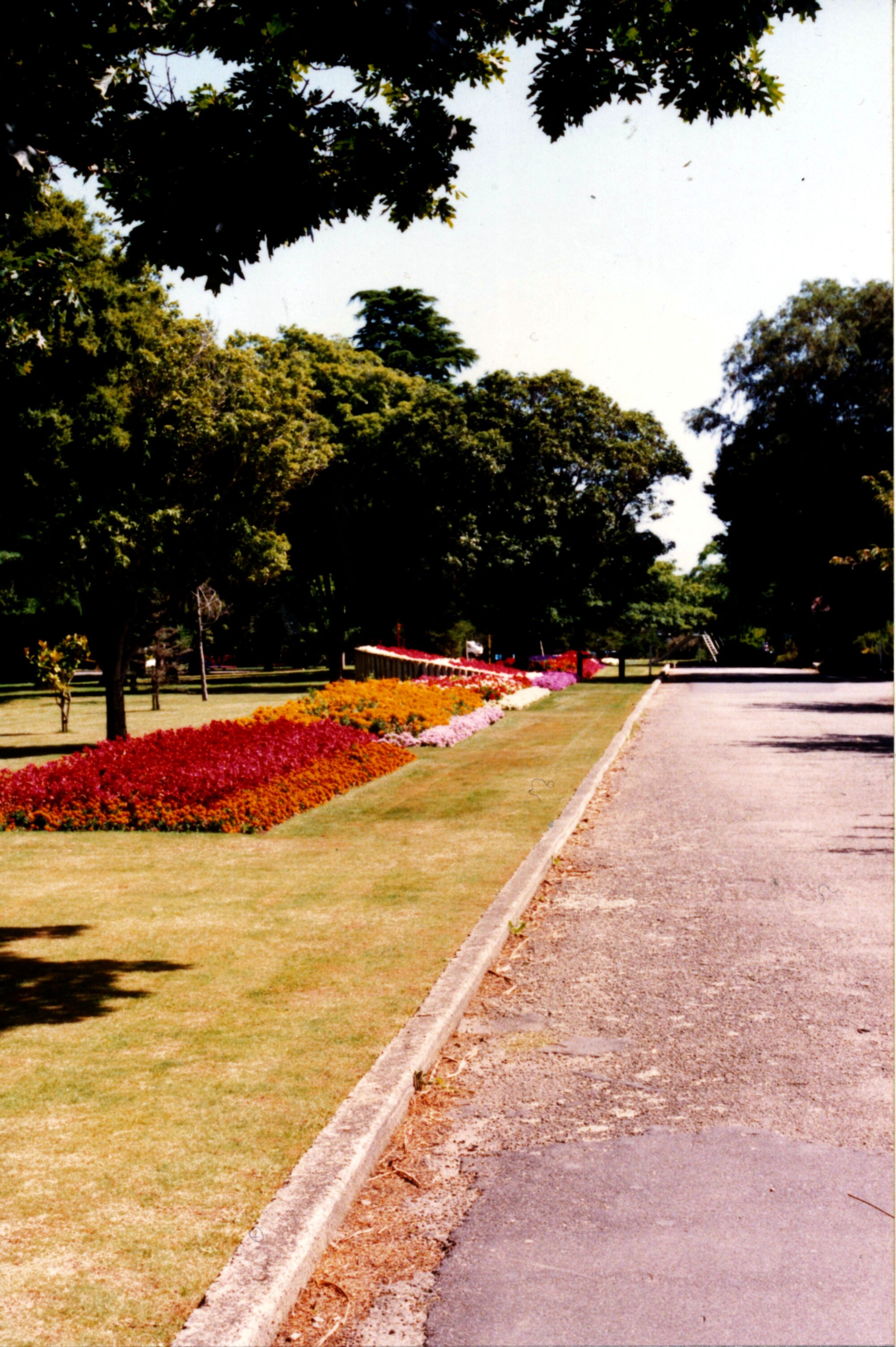Gardens, Park Street; Maidstone Park east-west drive, south side, looking west 1